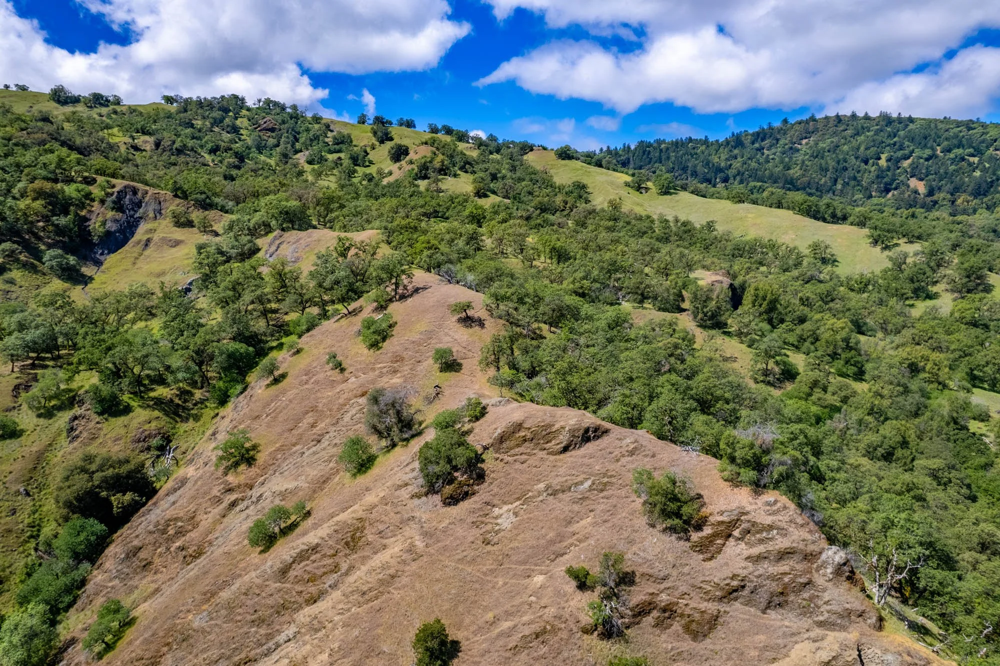 15890 Yorkville Ranch Rd-141.jpg