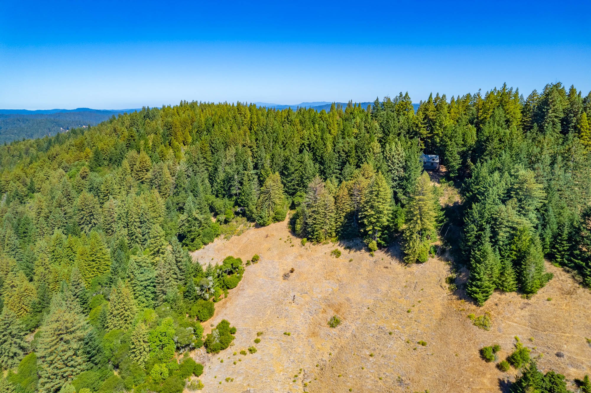 19001 Bald Hills Rd-47.jpg