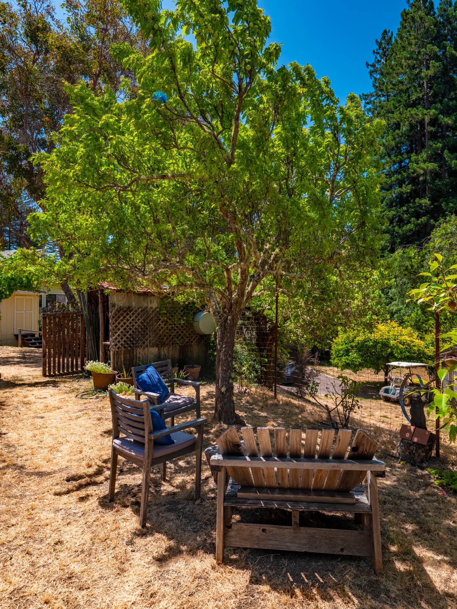 Just outside the guest house enjoy a private seating area shaded by trees, a large fenced garden with raised beds and a quaint garden shed/greenhouse.