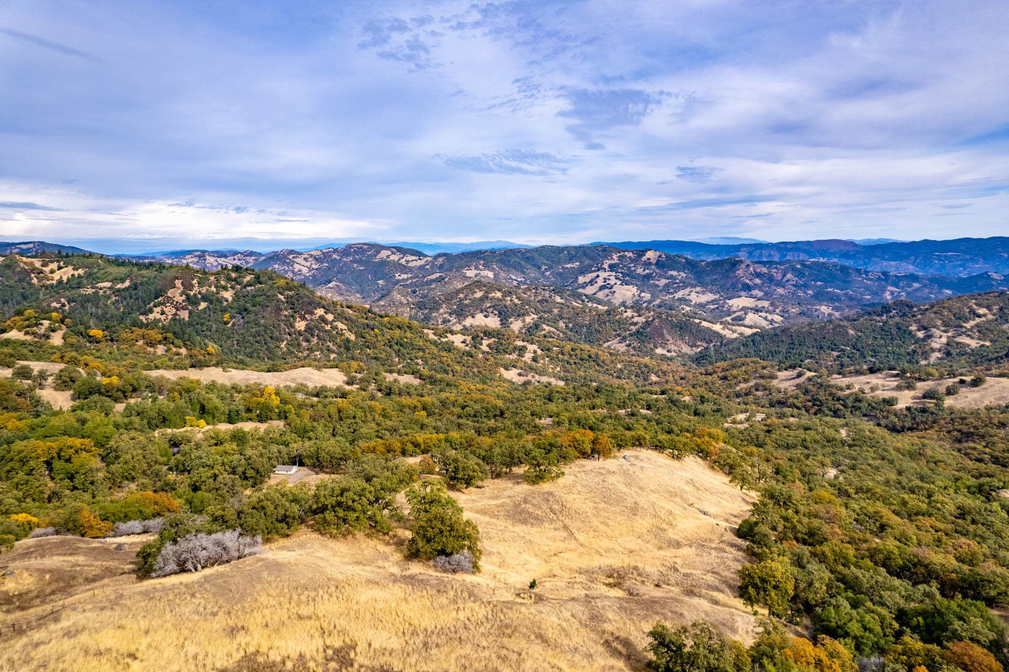 Thompson - Yorkville Ranch 40-15.jpg