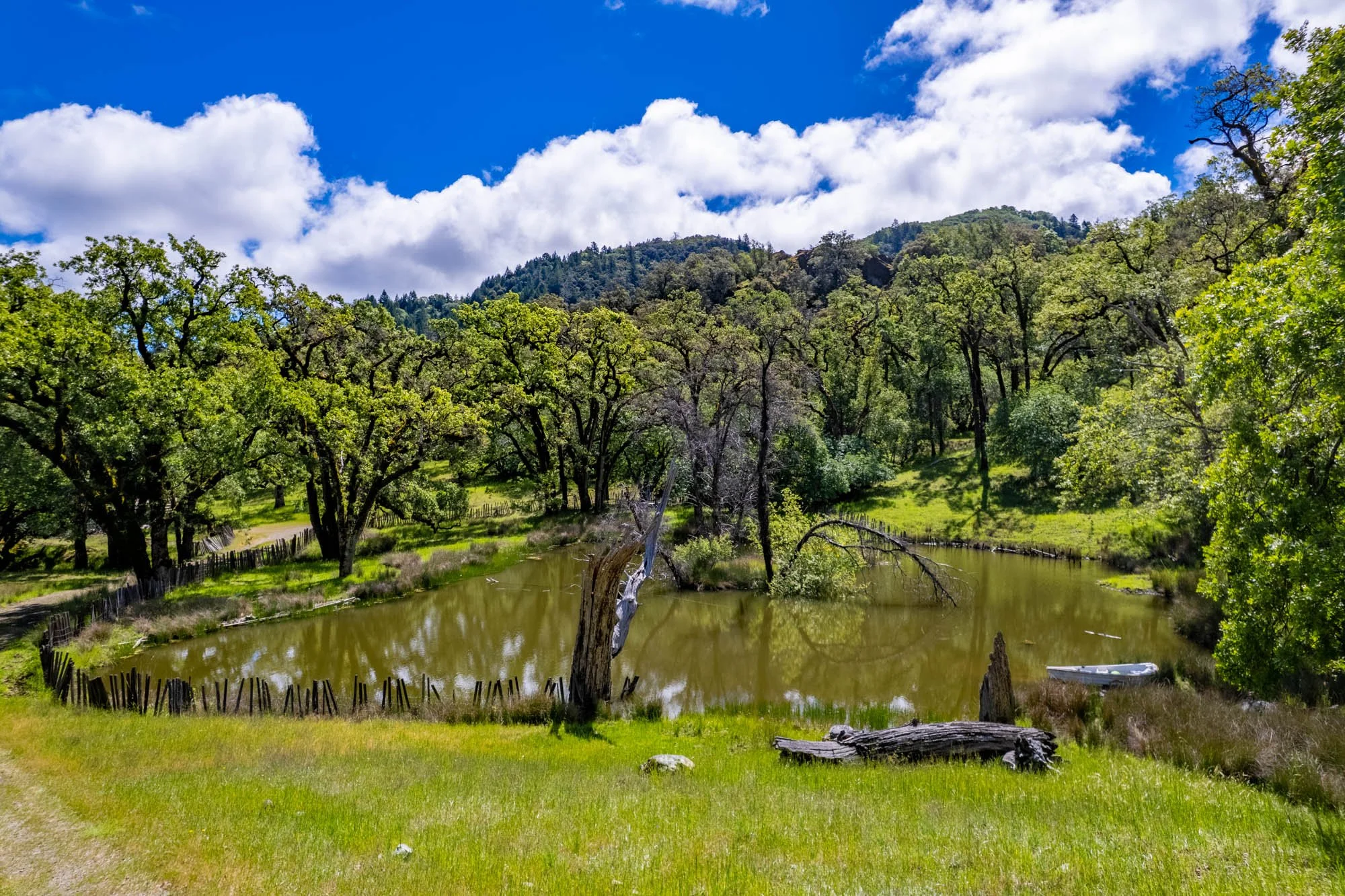 15890 Yorkville Ranch Rd-125.jpg