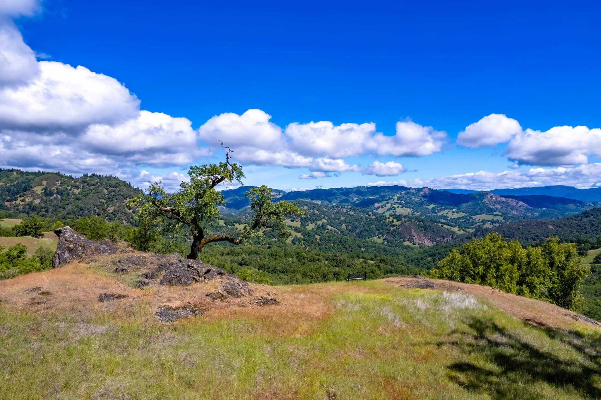 15890 Yorkville Ranch Rd-132.jpg