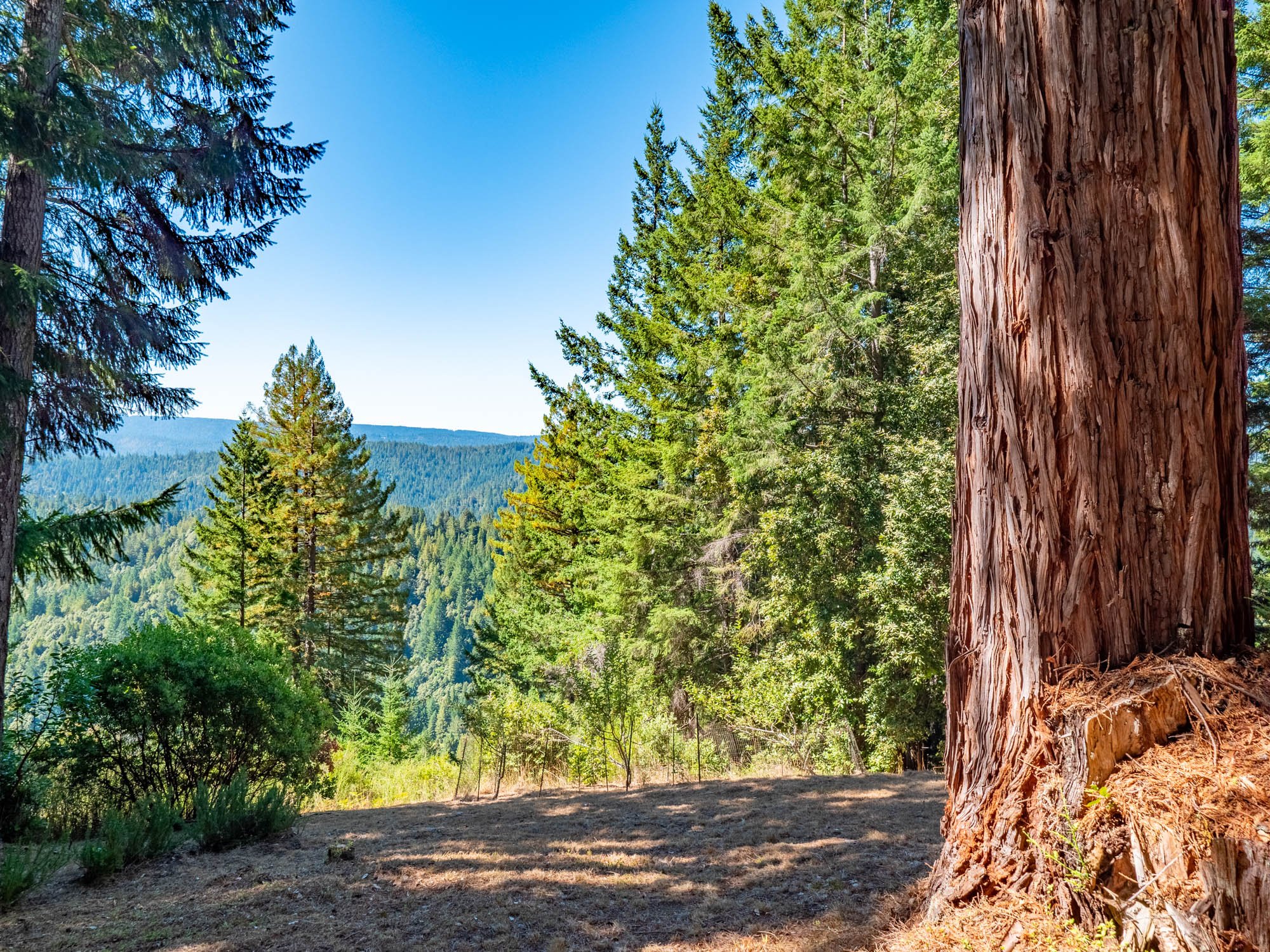 19001 Bald Hills Rd-41.jpg