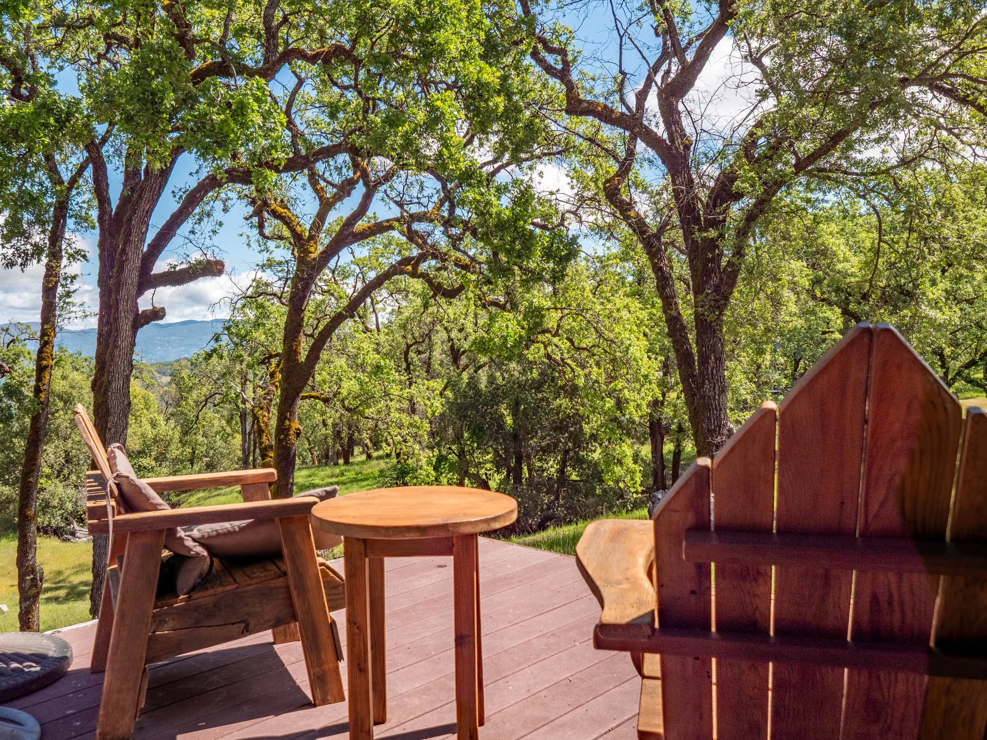 15890 Yorkville Ranch Rd-116.jpg