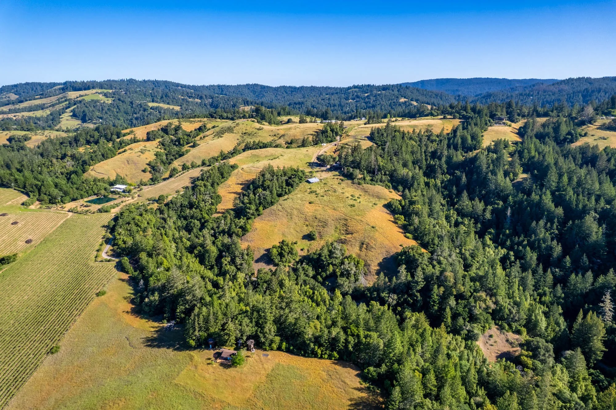 6200 Lazy Springs Rd-111.jpg