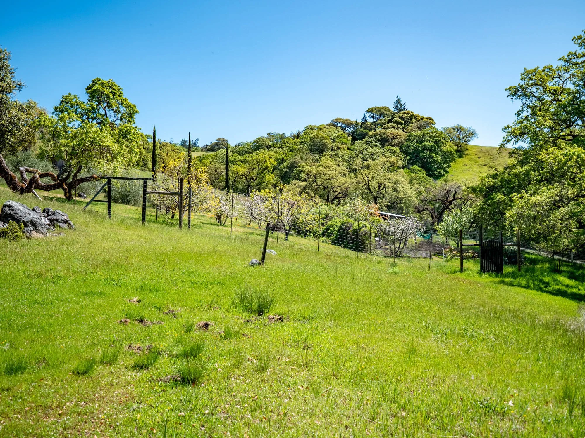 16101 Lost Creek Rd-170.jpg