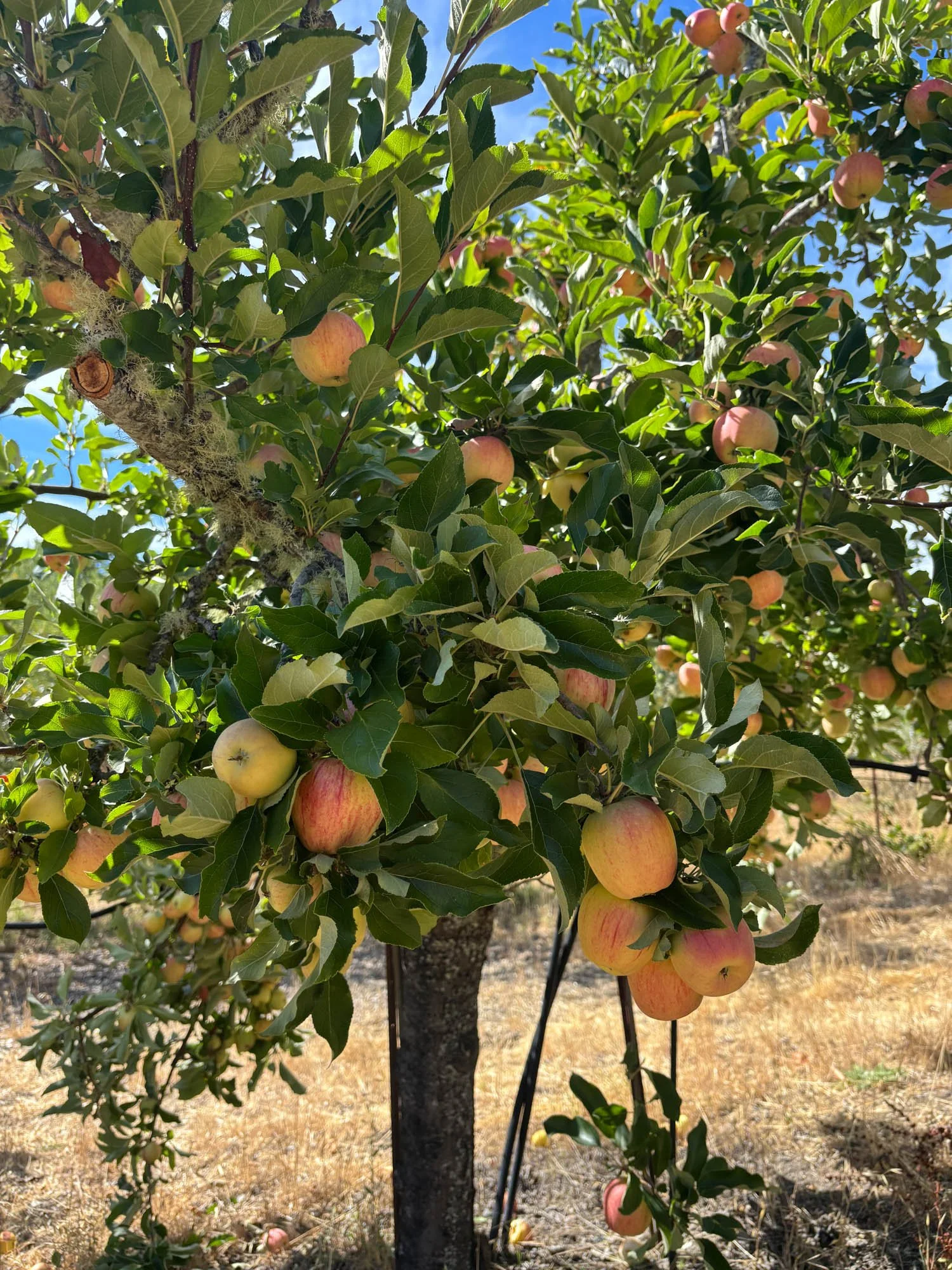 16101 Lost Creek Rd-166.jpg