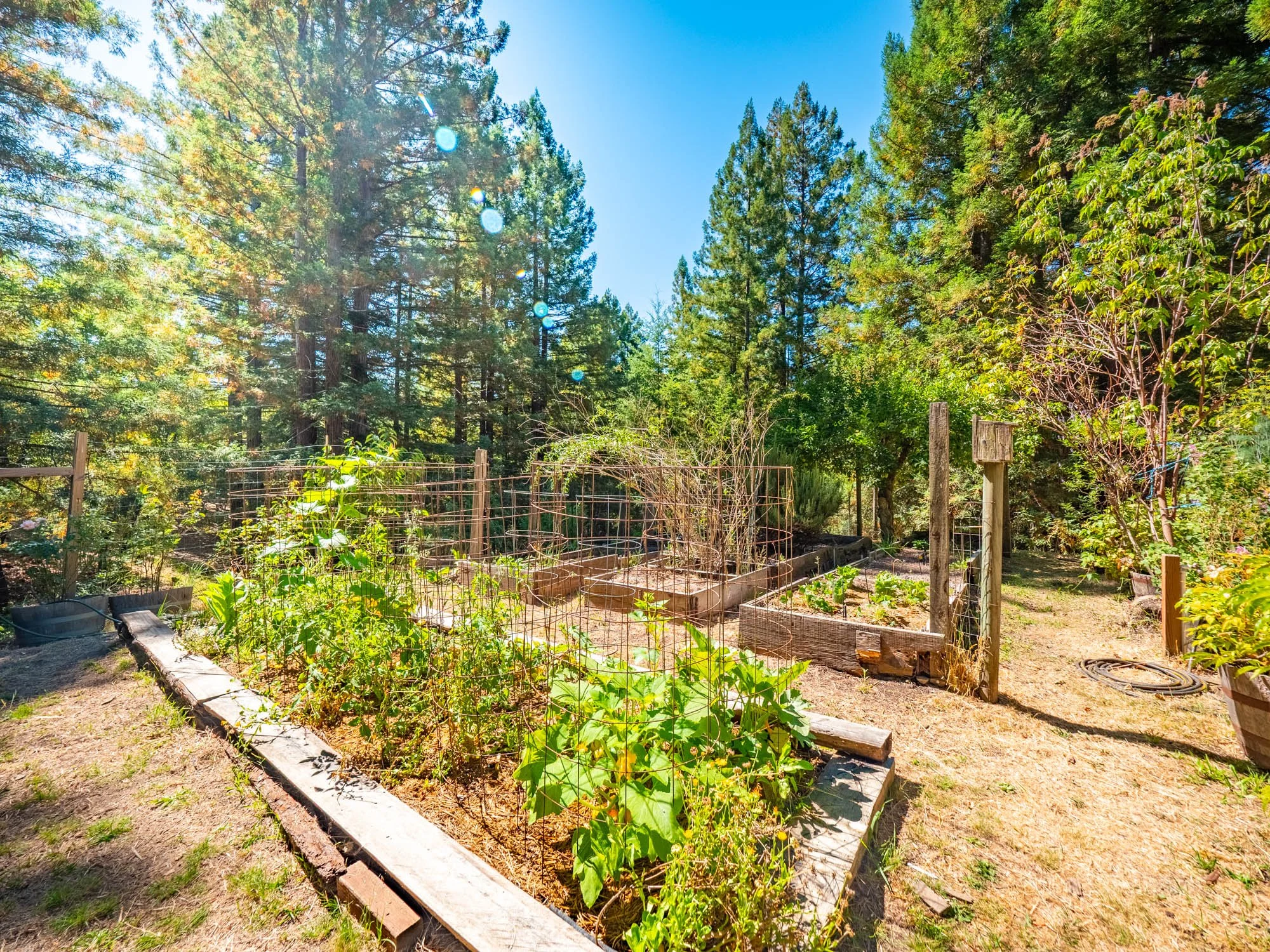 17900 Appian Way - -138.jpg