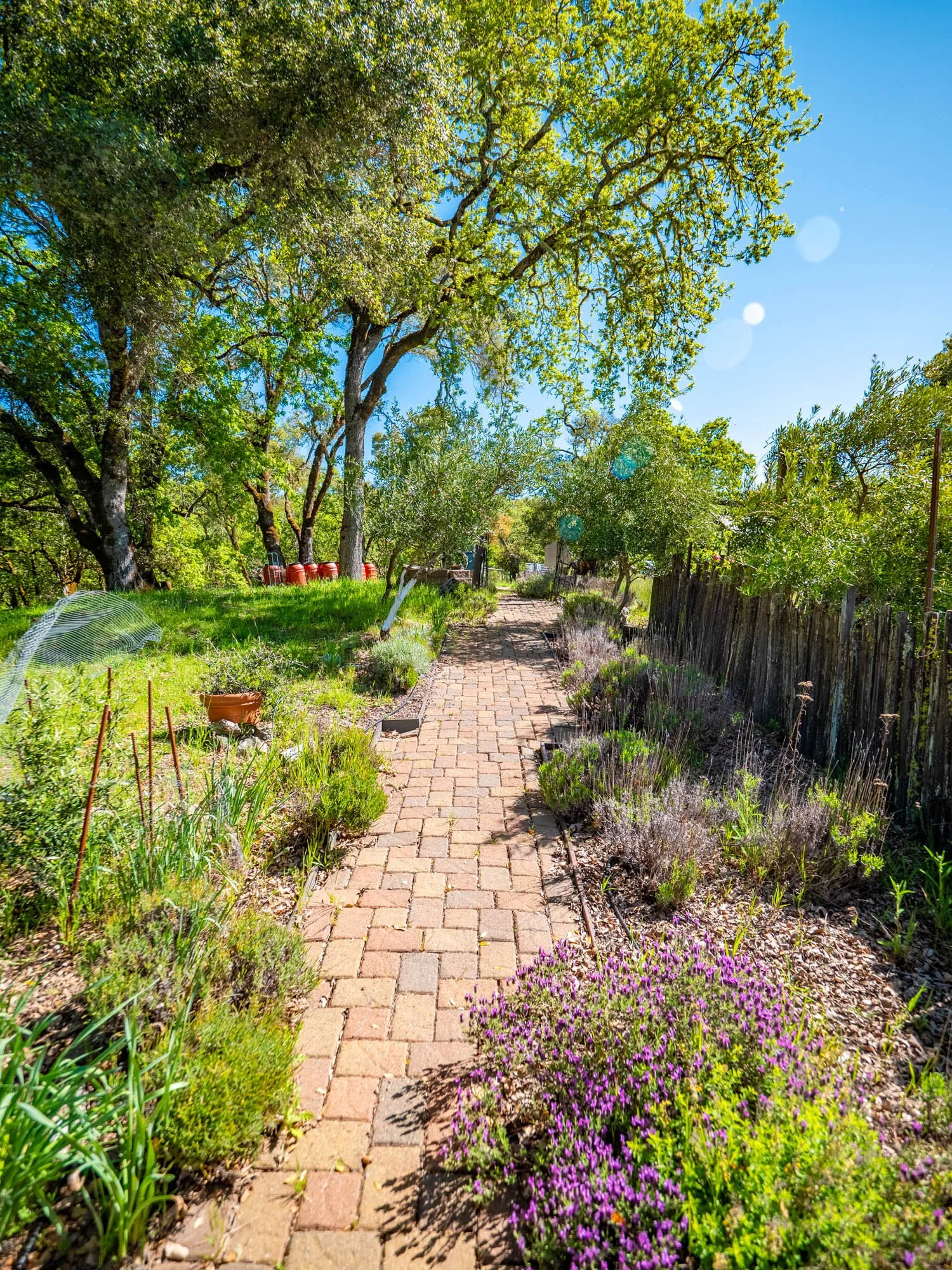 16101 Lost Creek Rd-155.jpg