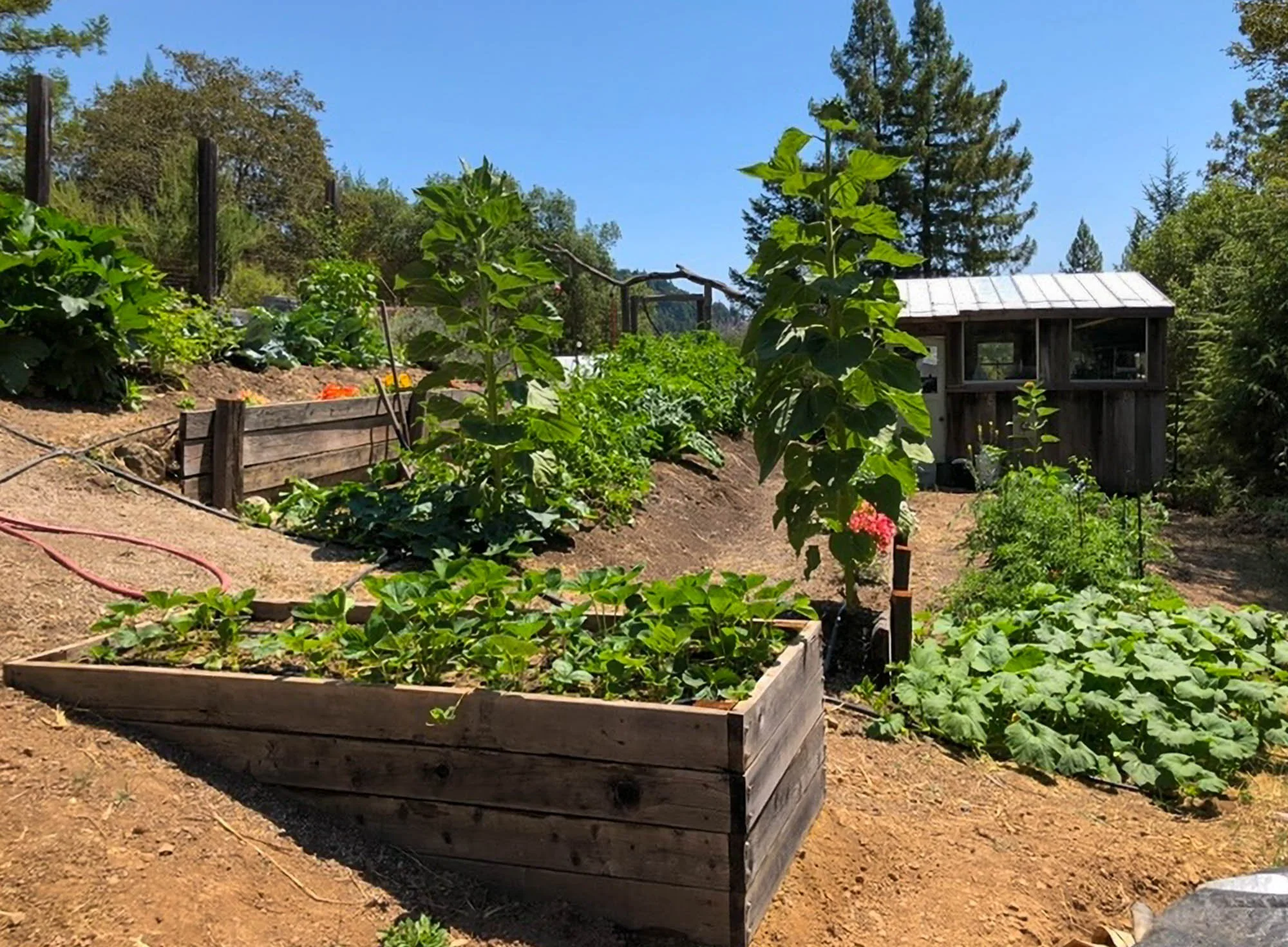 1910 Charoliase Dr-155.jpg