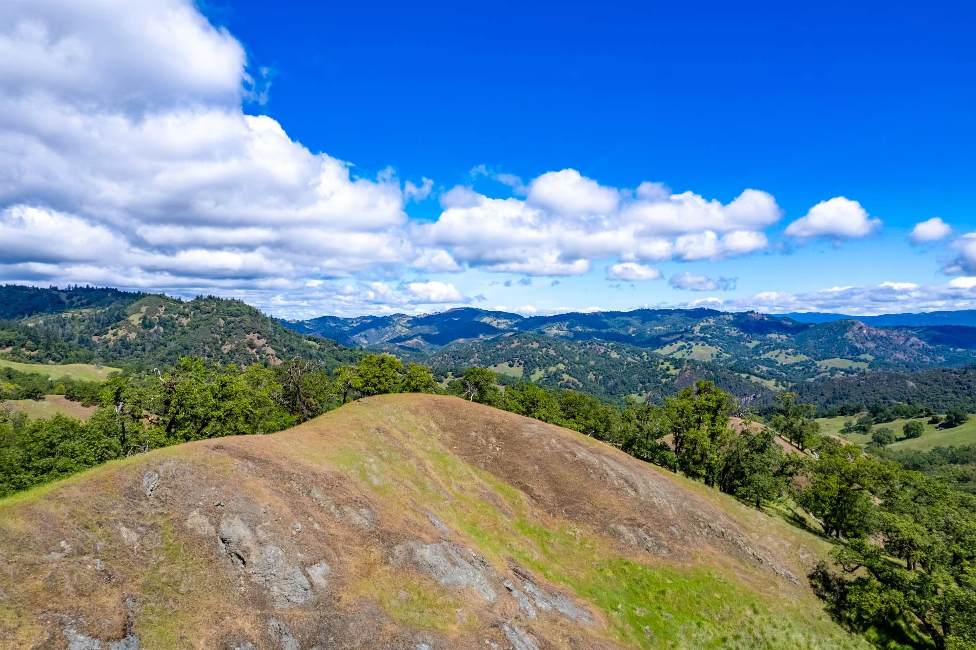 15890 Yorkville Ranch Rd-152.jpg