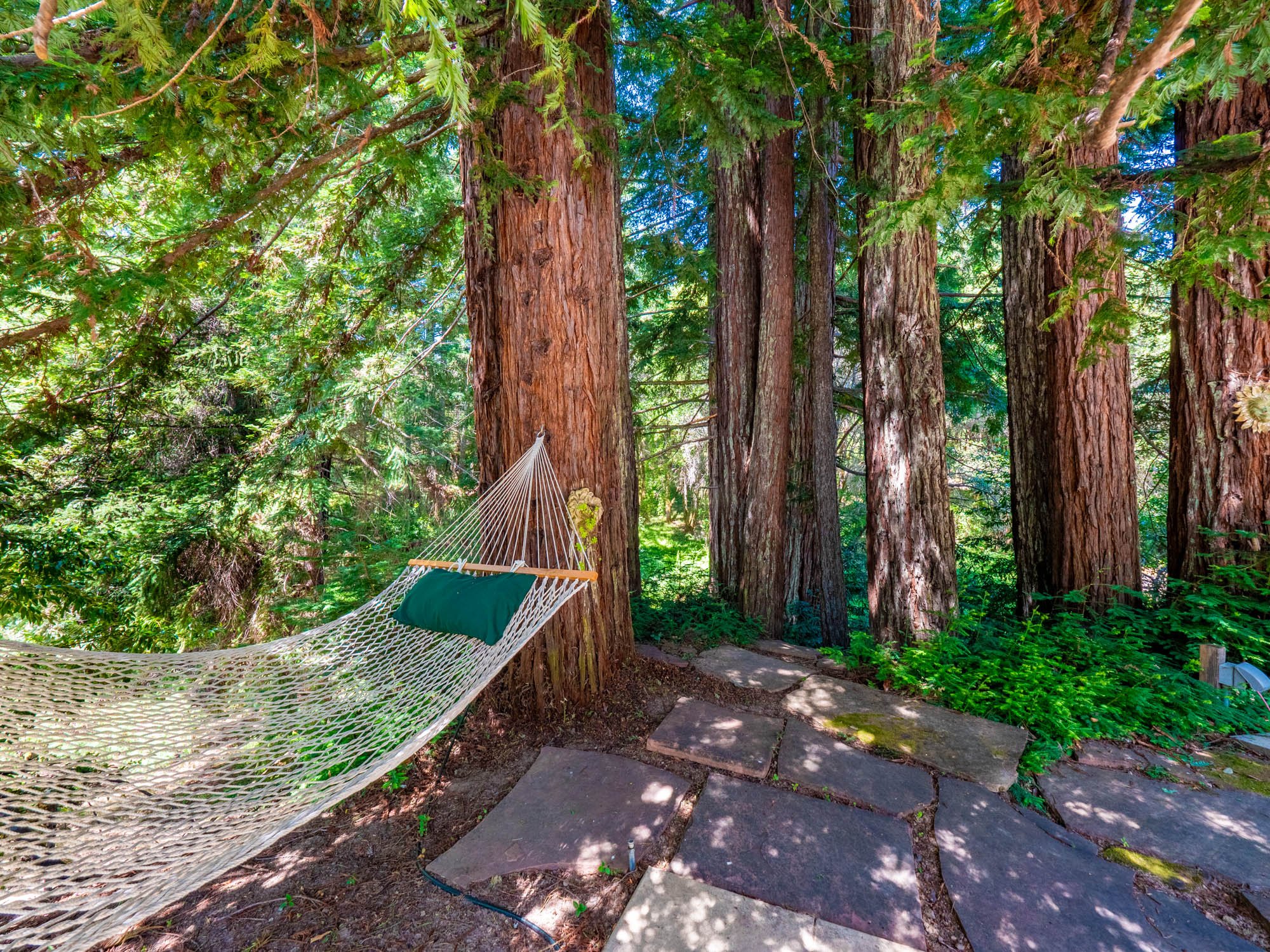 To one side of the patio, a rope hammock, strung between majestic redwoods, invites lazy afternoon naps.