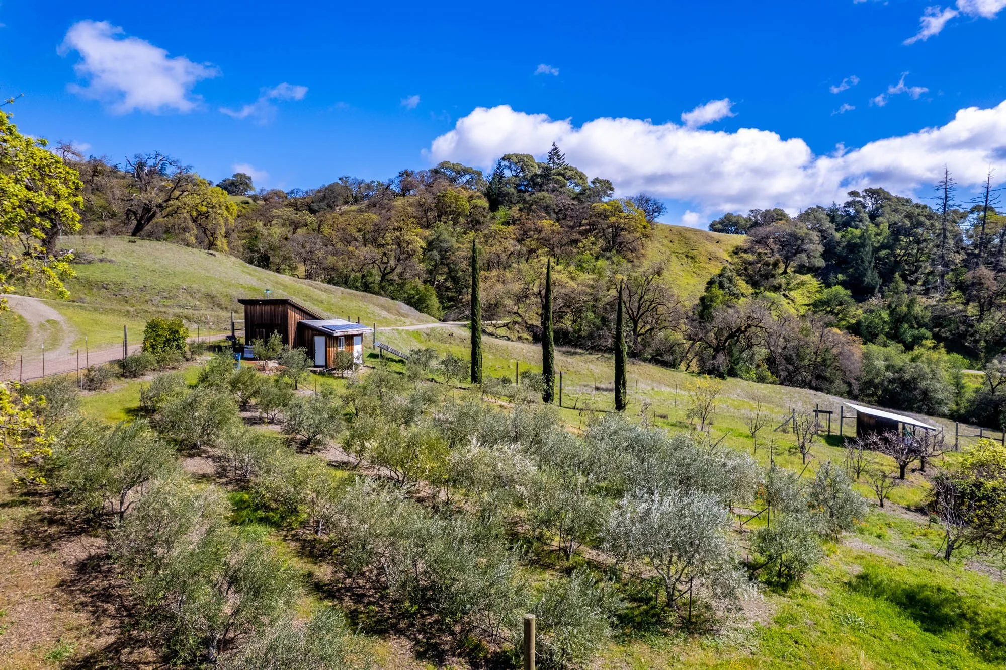 16101 Lost Creek Rd-157.jpg