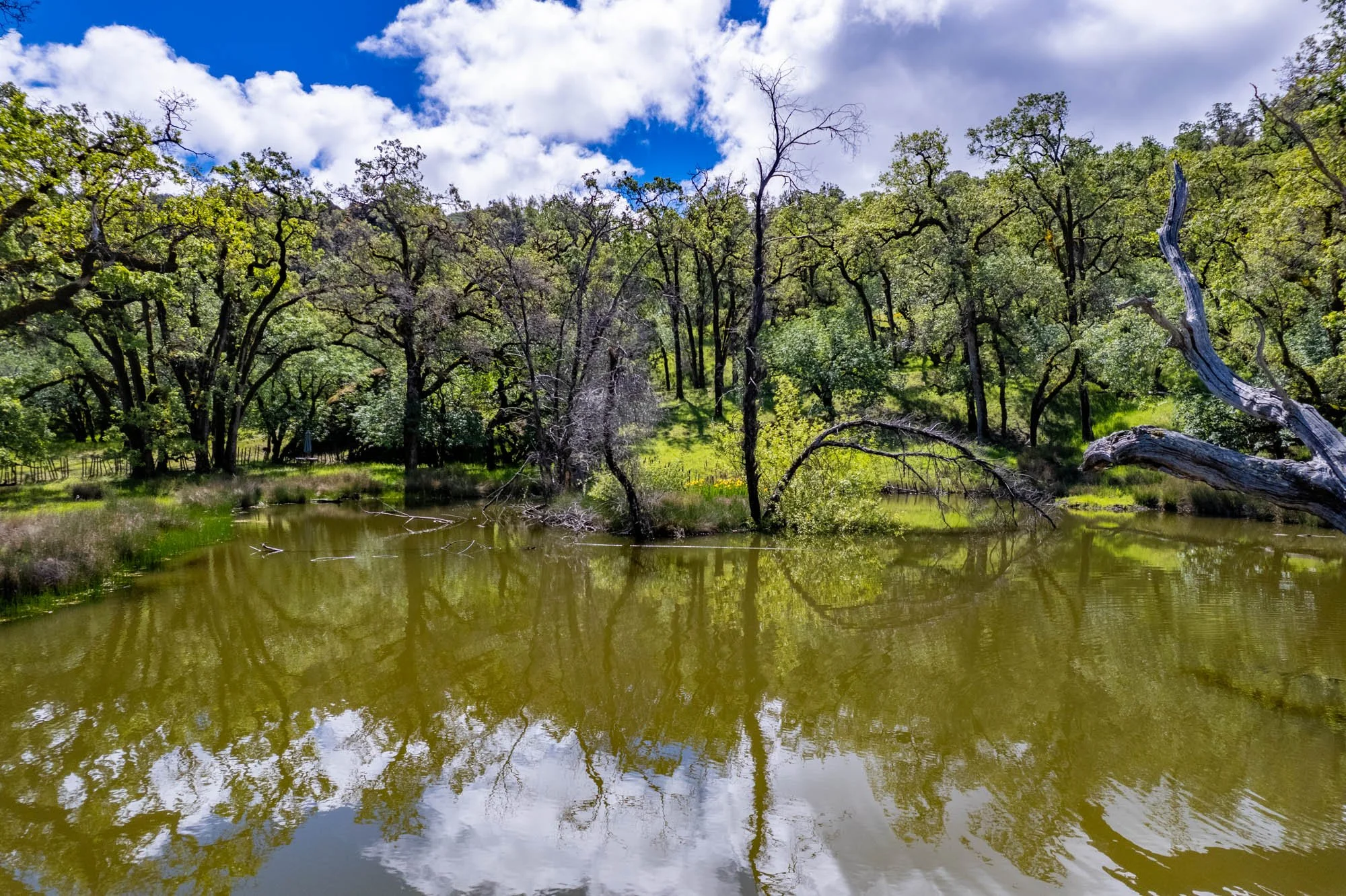 15890 Yorkville Ranch Rd-127.jpg