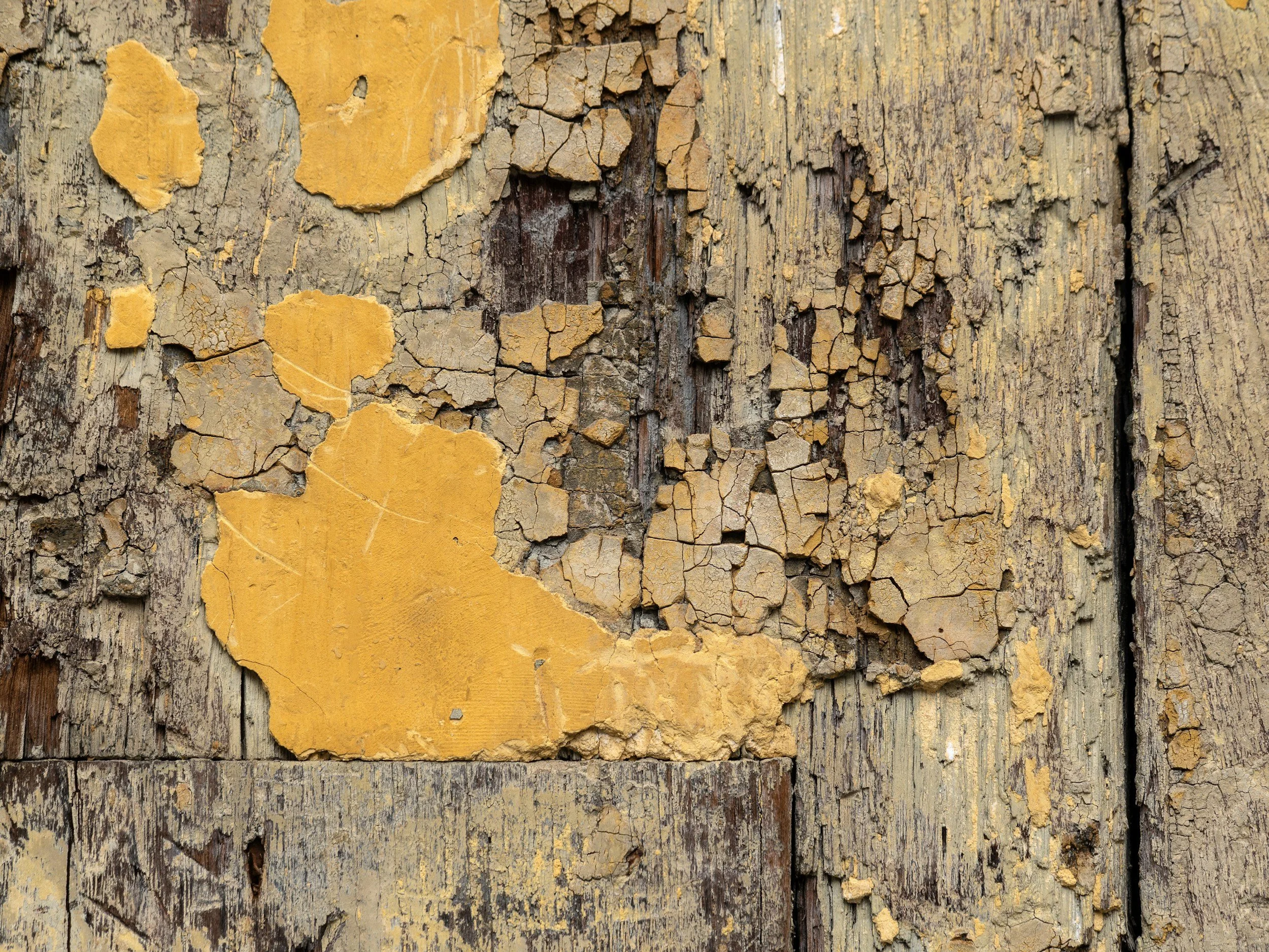 Dry rot repair and wood replacement on exterior of Nevada County foothill home