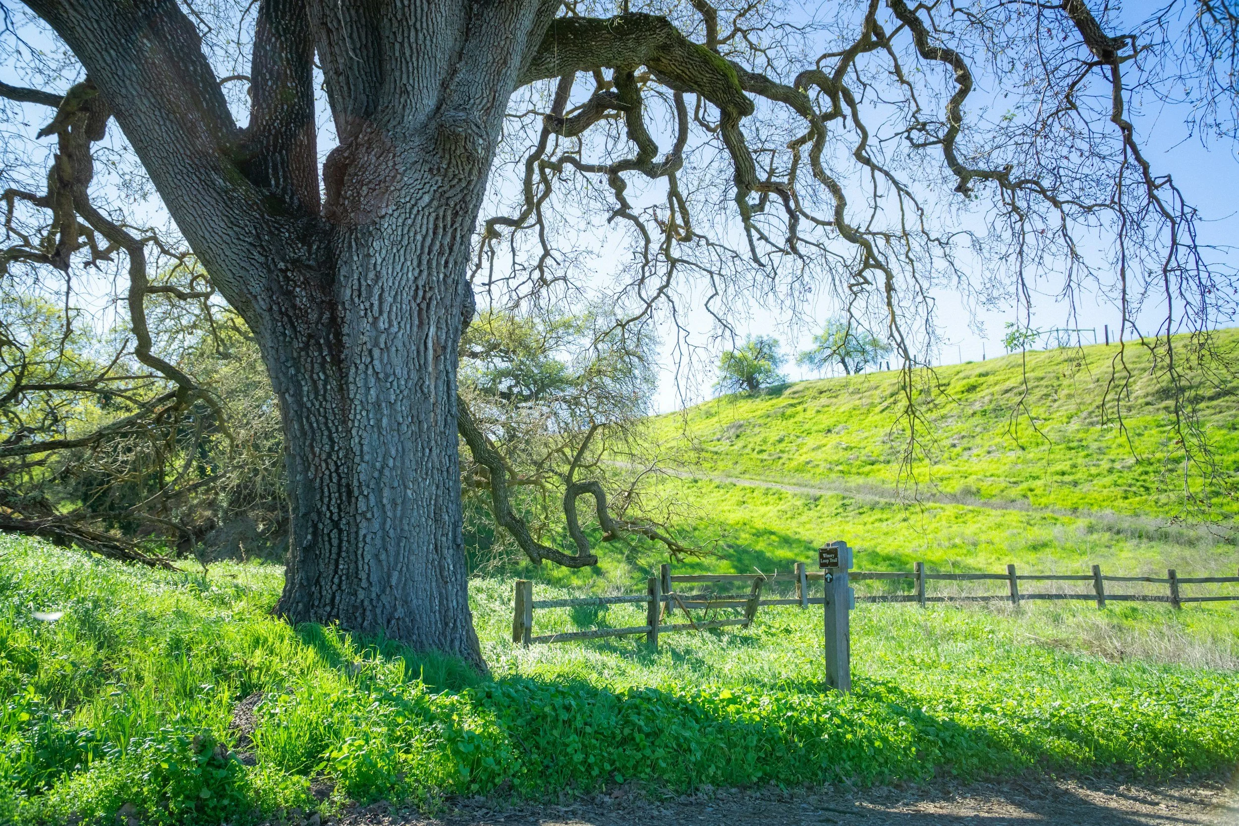 Licensed contractor serving rural properties and homeowners in Penn Valley CA