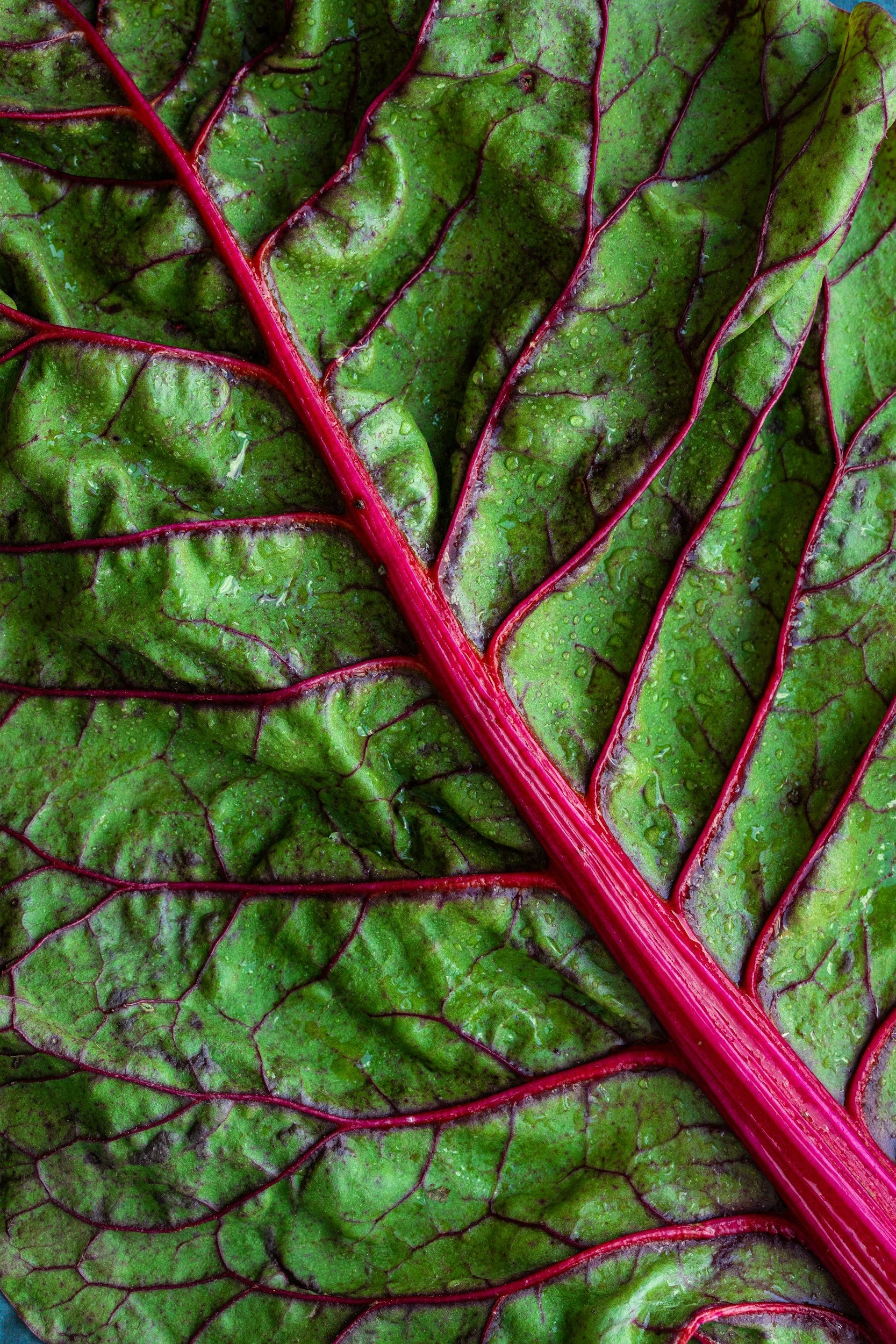 Why You’re Bloated Even When You Eat Healthy