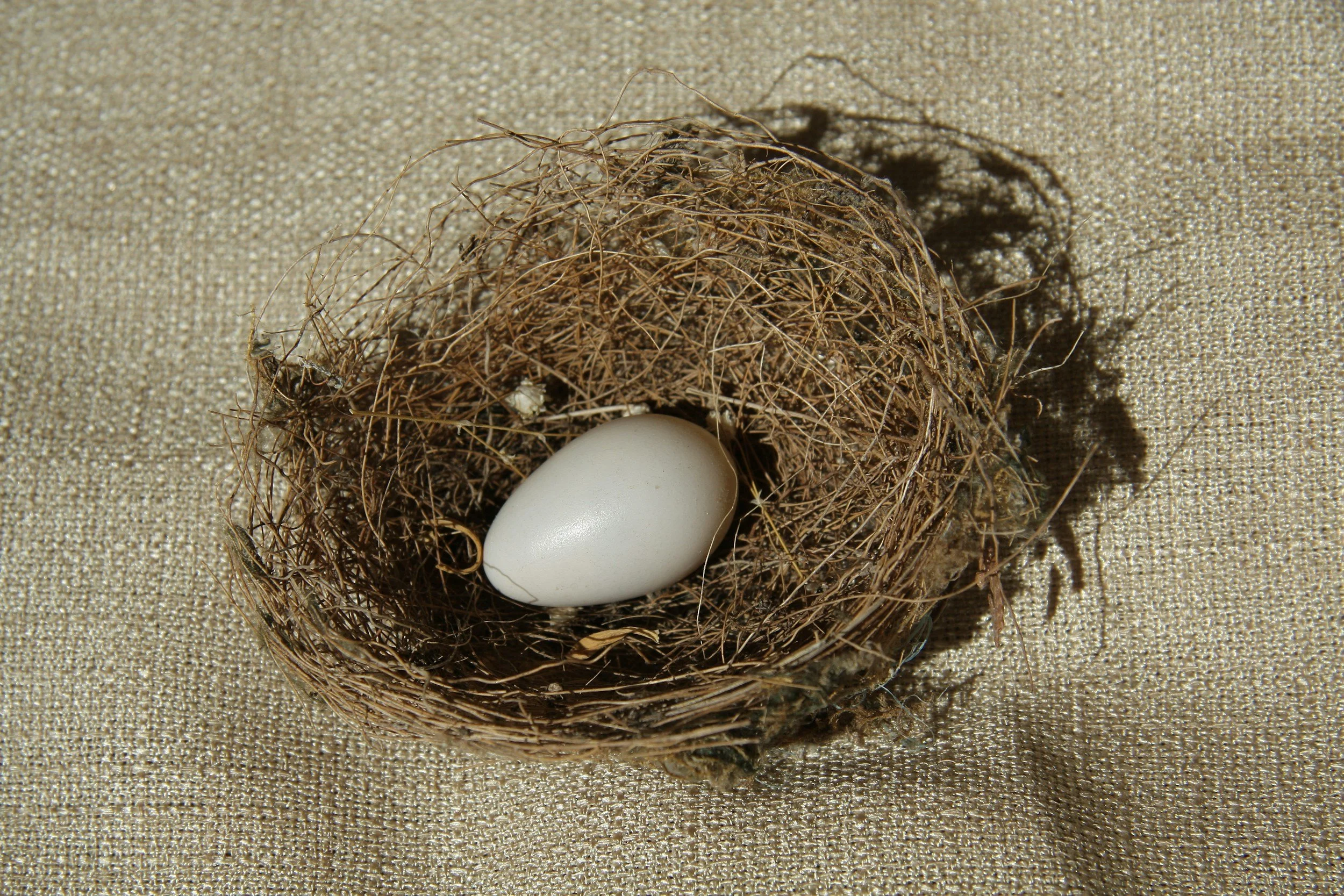 How to Know If You’re Ovulating Regularly
