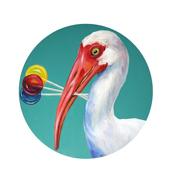 "Ibis Lollies" - SOLD