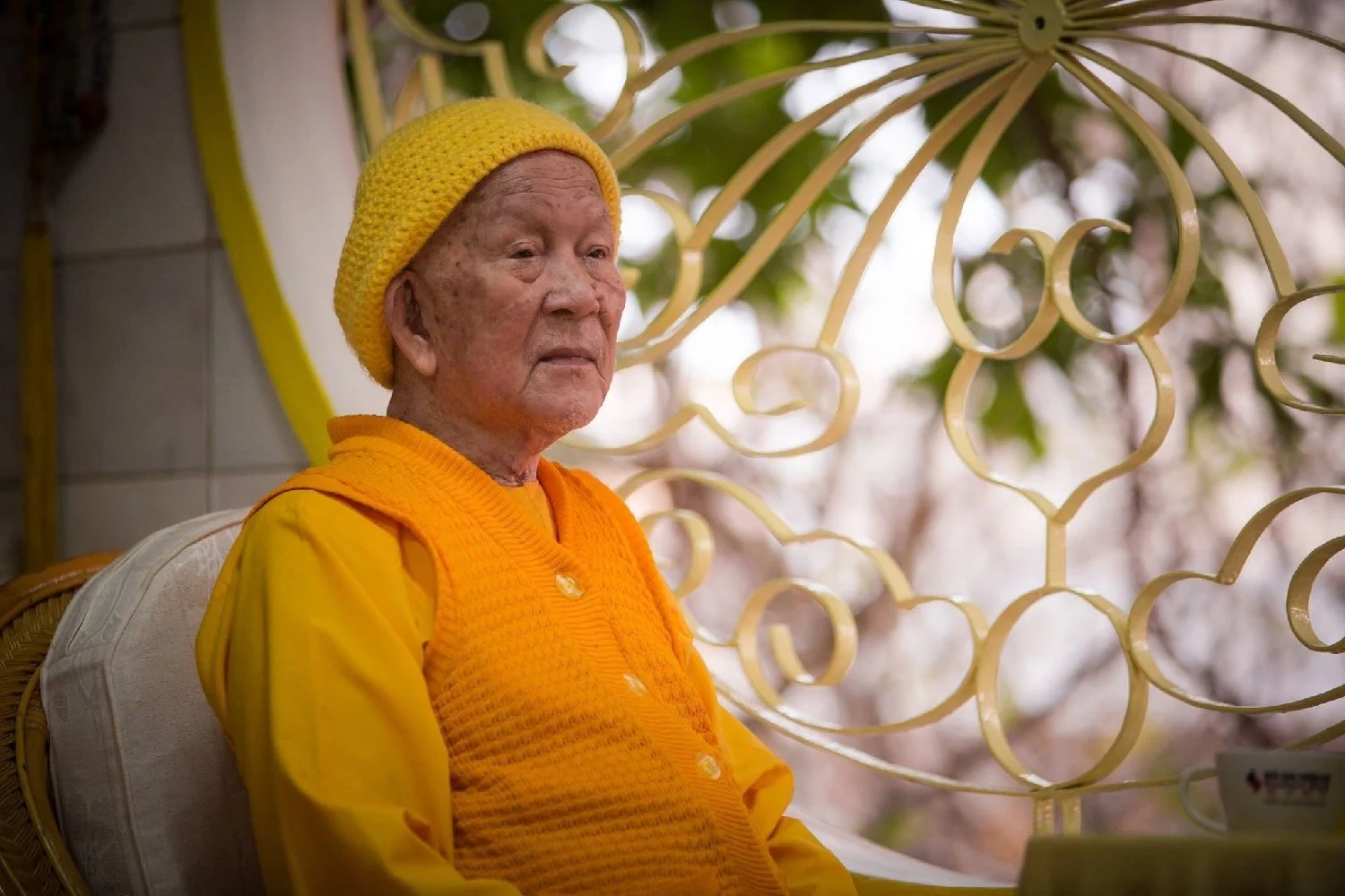 Cung Tán Công Hạnh Hoà Thượng&nbsp;Thích Trí Tịnh