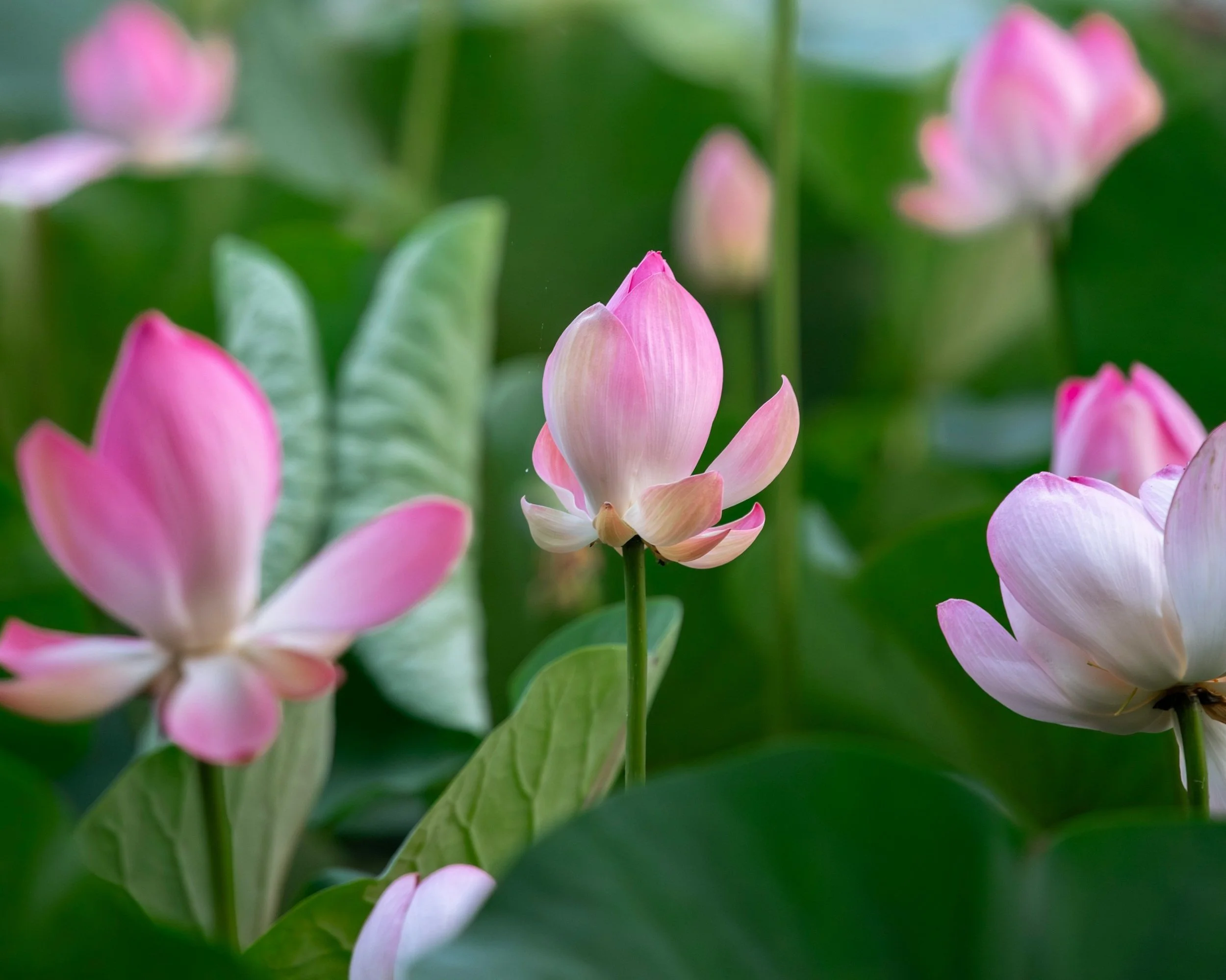 Thường tự thấy lỗi mình