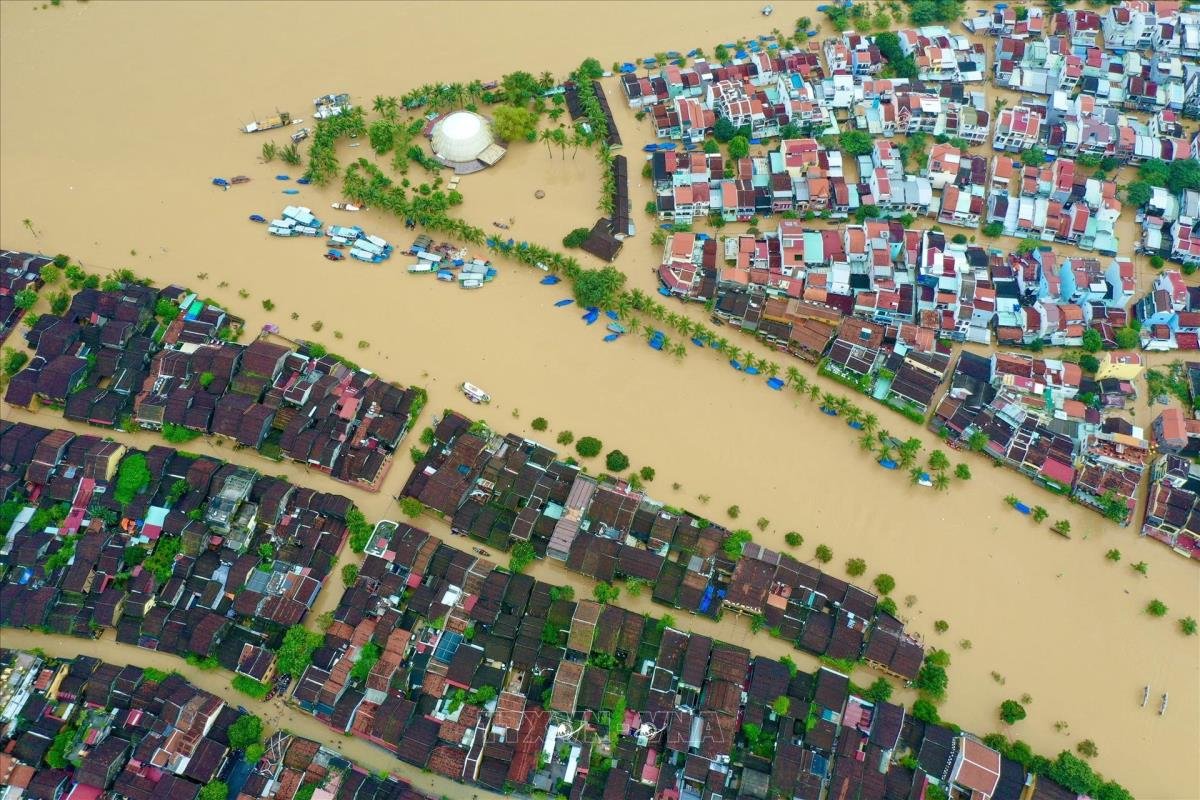 Đau Thương Mùa Lũ Quê Tôi