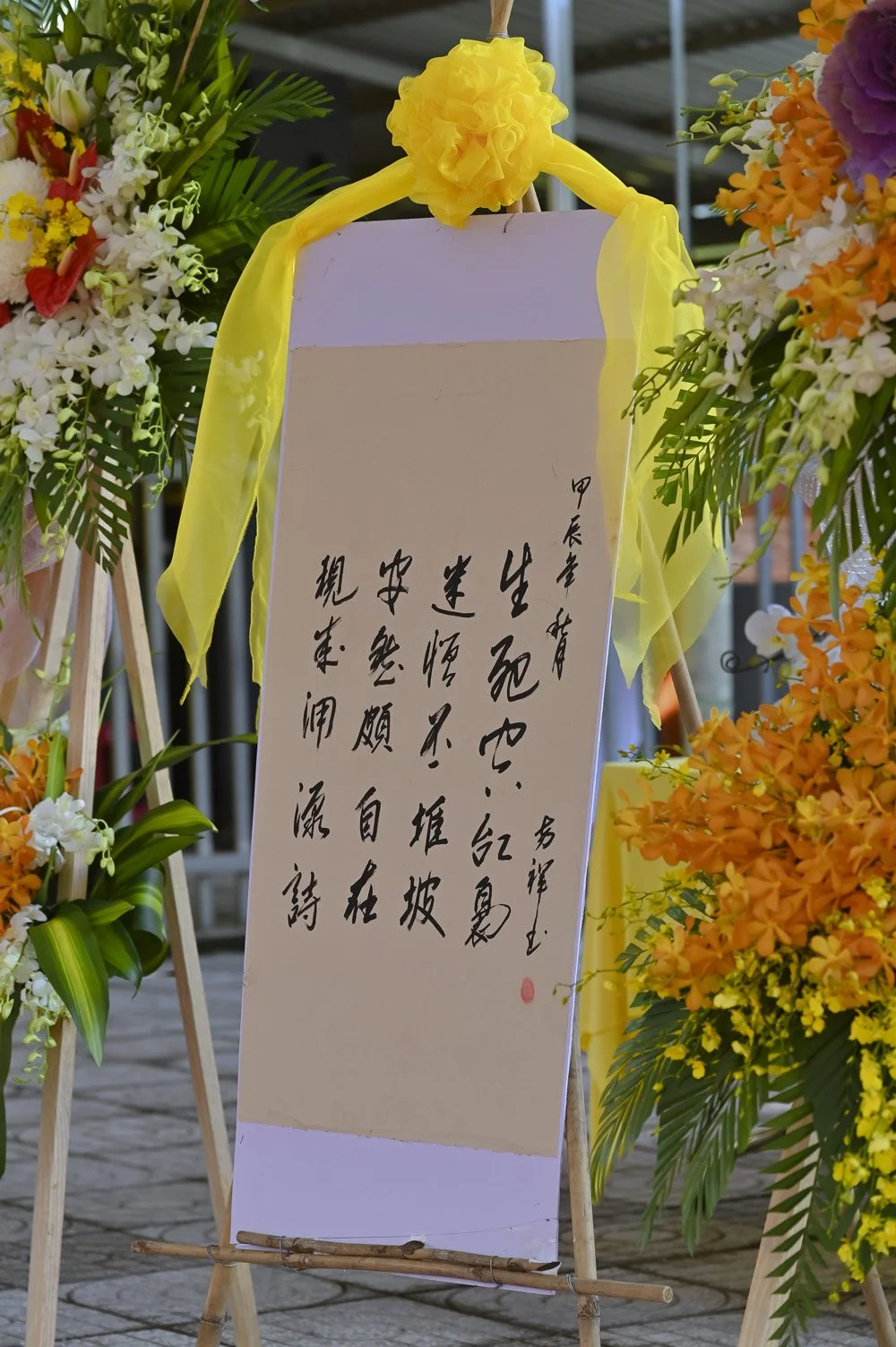 ht-quang-hanh-11.jpg