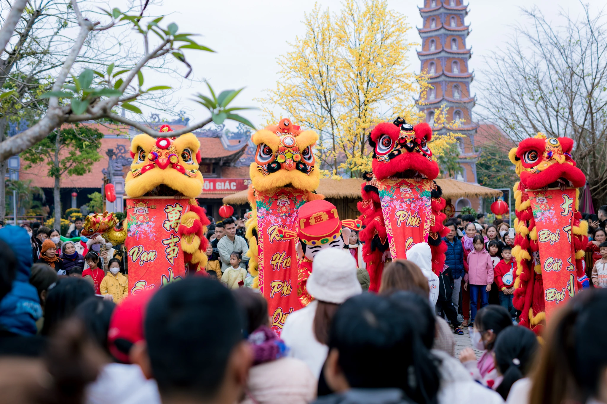 Thiền Ca Mừng Xuân Bính Ngọ