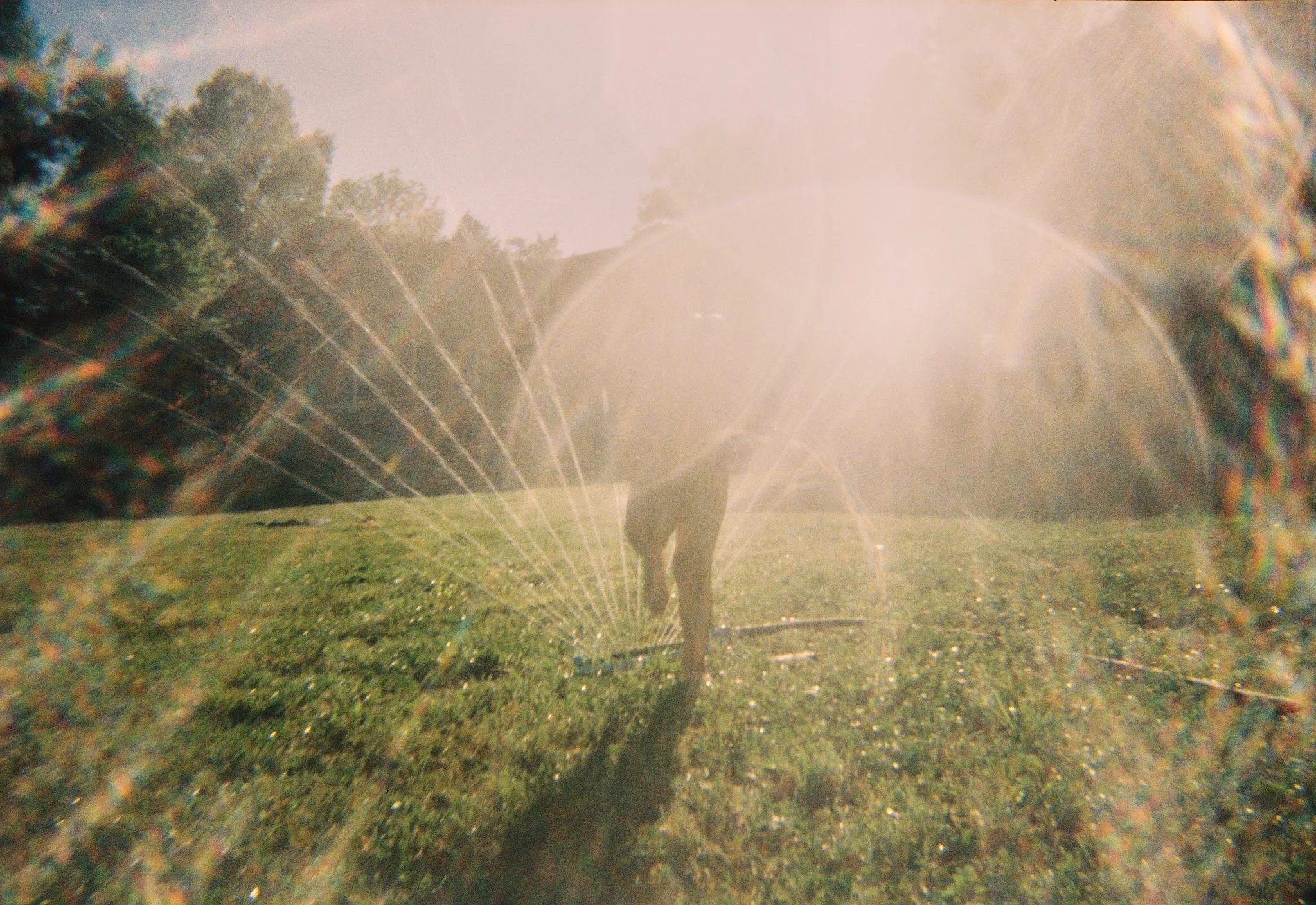 AB_2308_Fuji 400_133838-R1-041-19.jpg