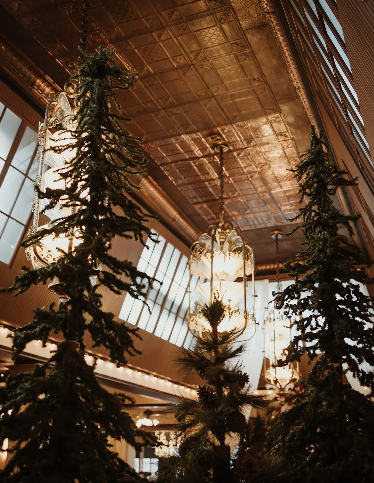 A_Des_2bPanda (5).jpg