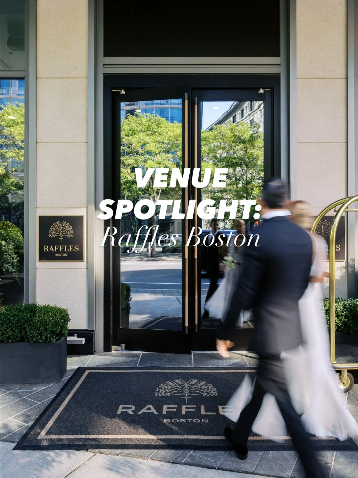 Venue Spotlight: Raffles Boston ✨ 

I worked with the Raffles Boston team this fall and they are the definition of hospitality. If you&rsquo;re looking for an elegant, modern aesthetic in the heart of the city, this venue is IT.

The ballroom is idea