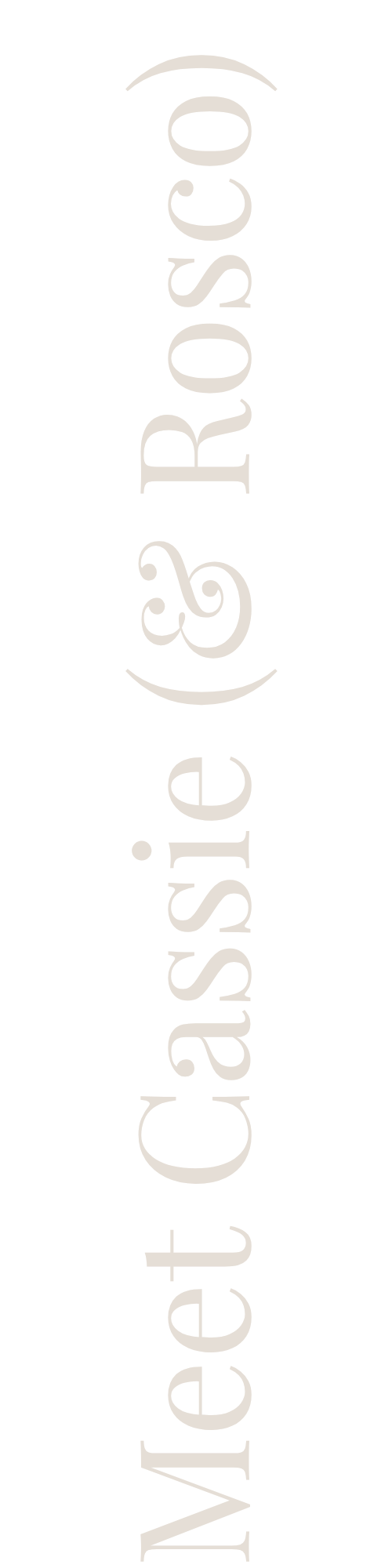 Vertical black sign with white cursive text reading "Meet Cassie (&Rosco)"