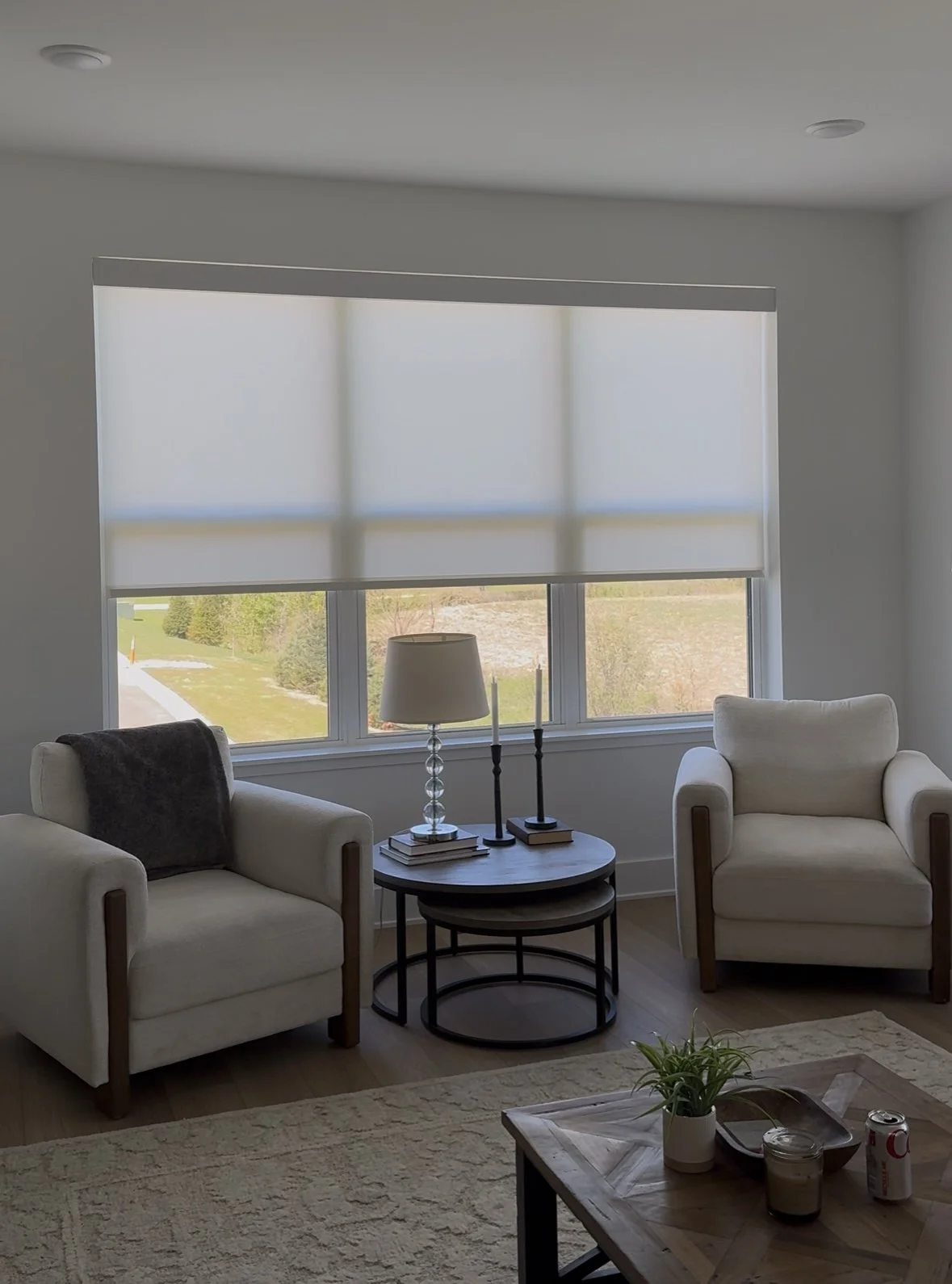 Roller Shade Light Filter Big Window Hunter Douglas