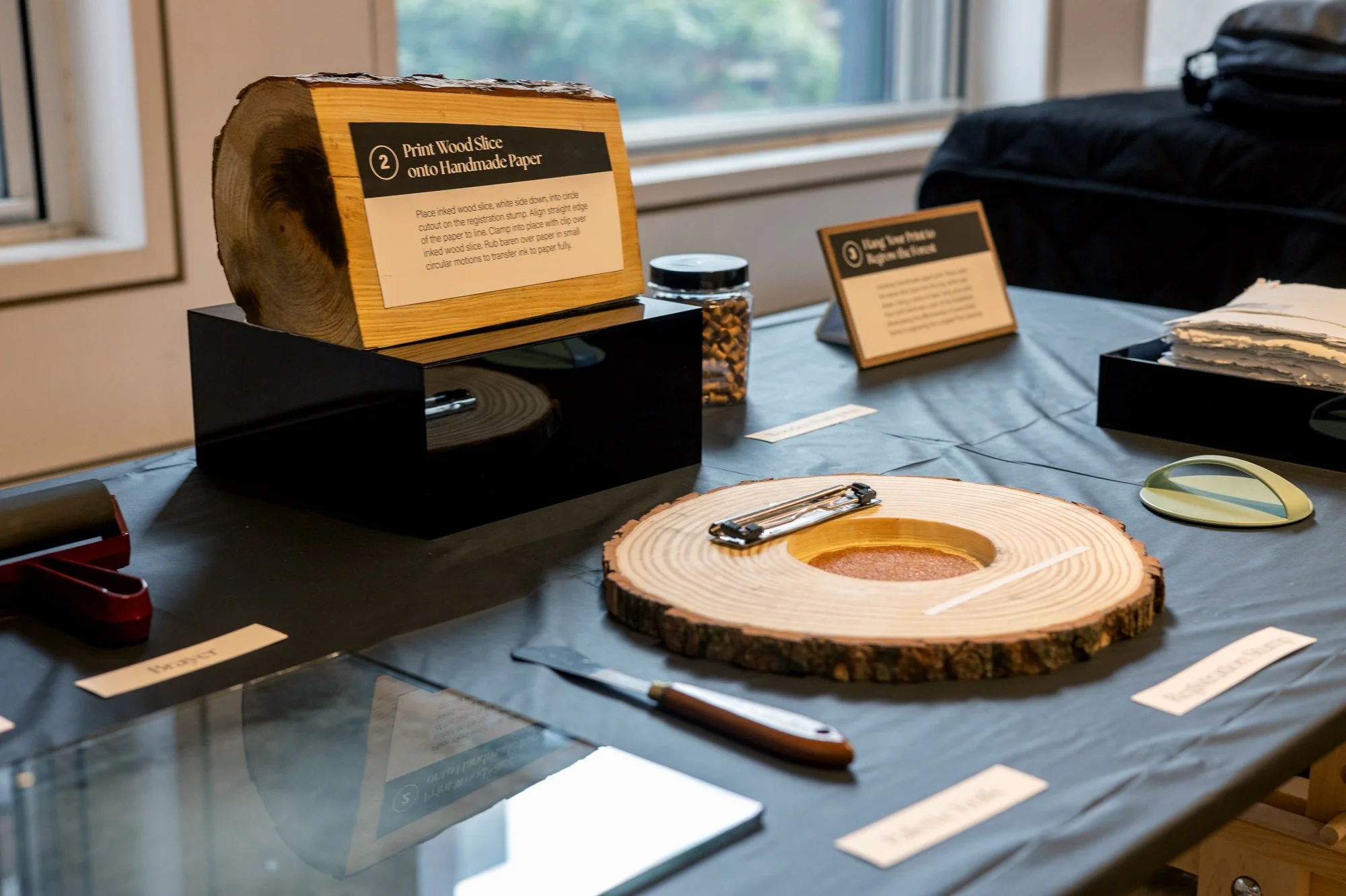 Biodesign Project - 2024