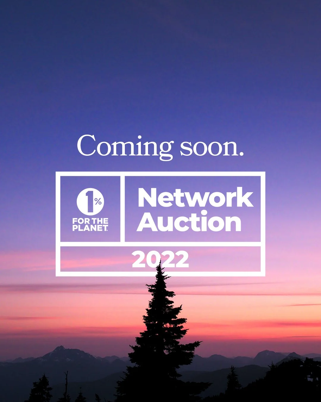 22_NetworkAuction_V01-01.jpg