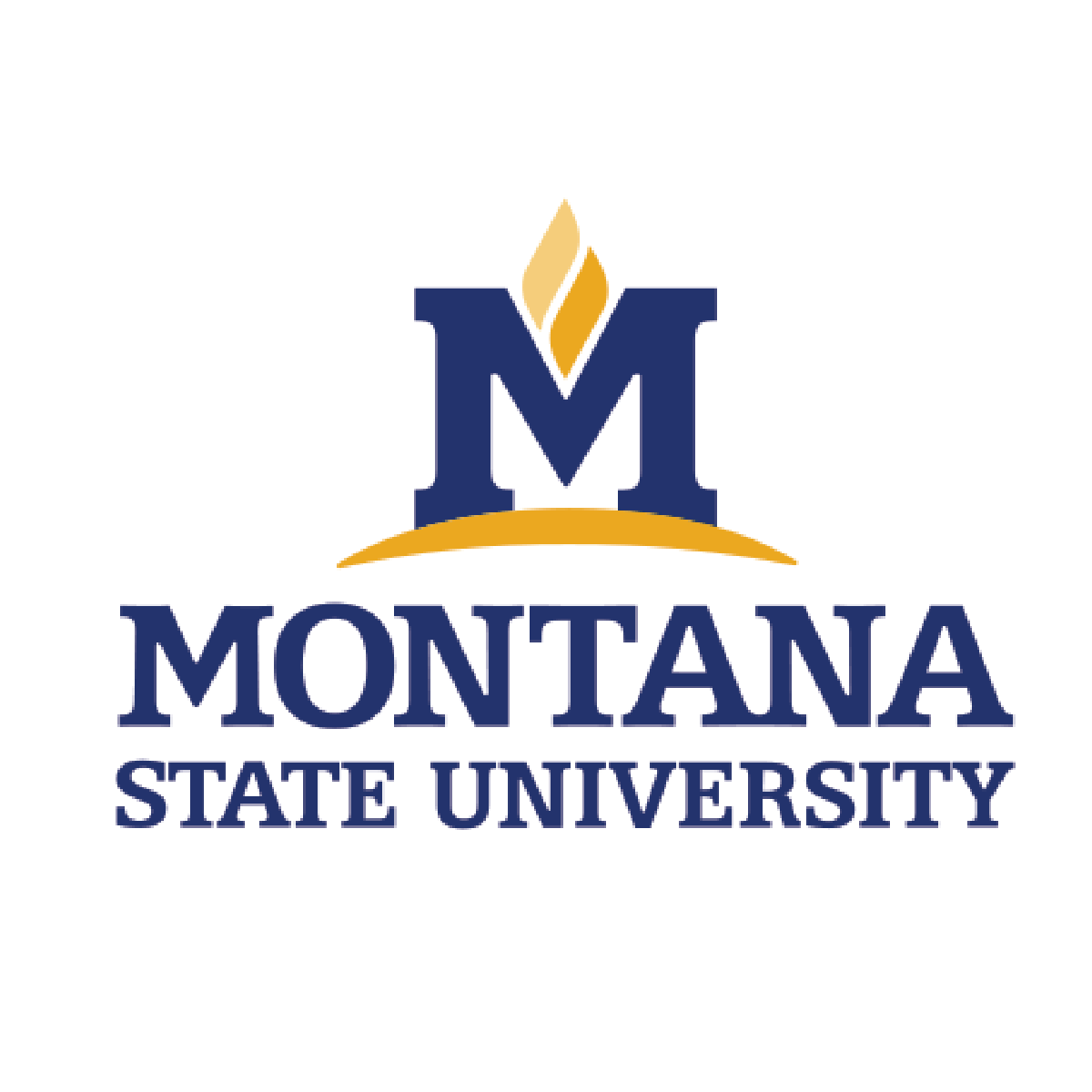 Montana State University - LIFE Scholars