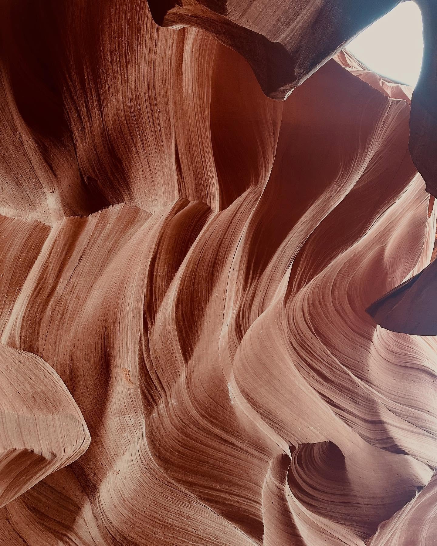 Nature&rsquo;s beautiful design lessons on patterns, color, texture, symmetry and scale 🏜️ #arizona 

#interiordesigner #theyellowslide #inspo