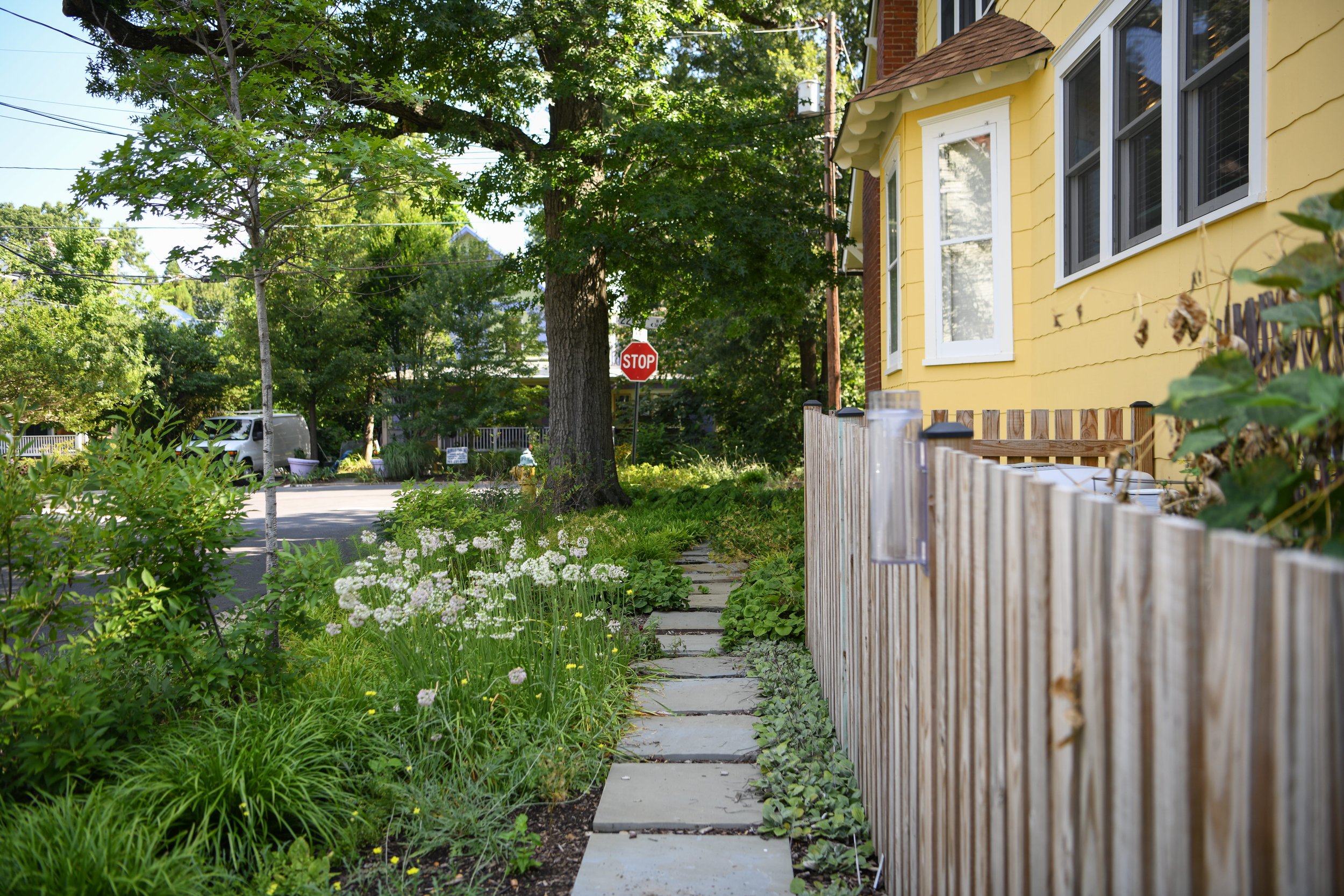 Harvey_Home_side_Garden-1 (1).jpg