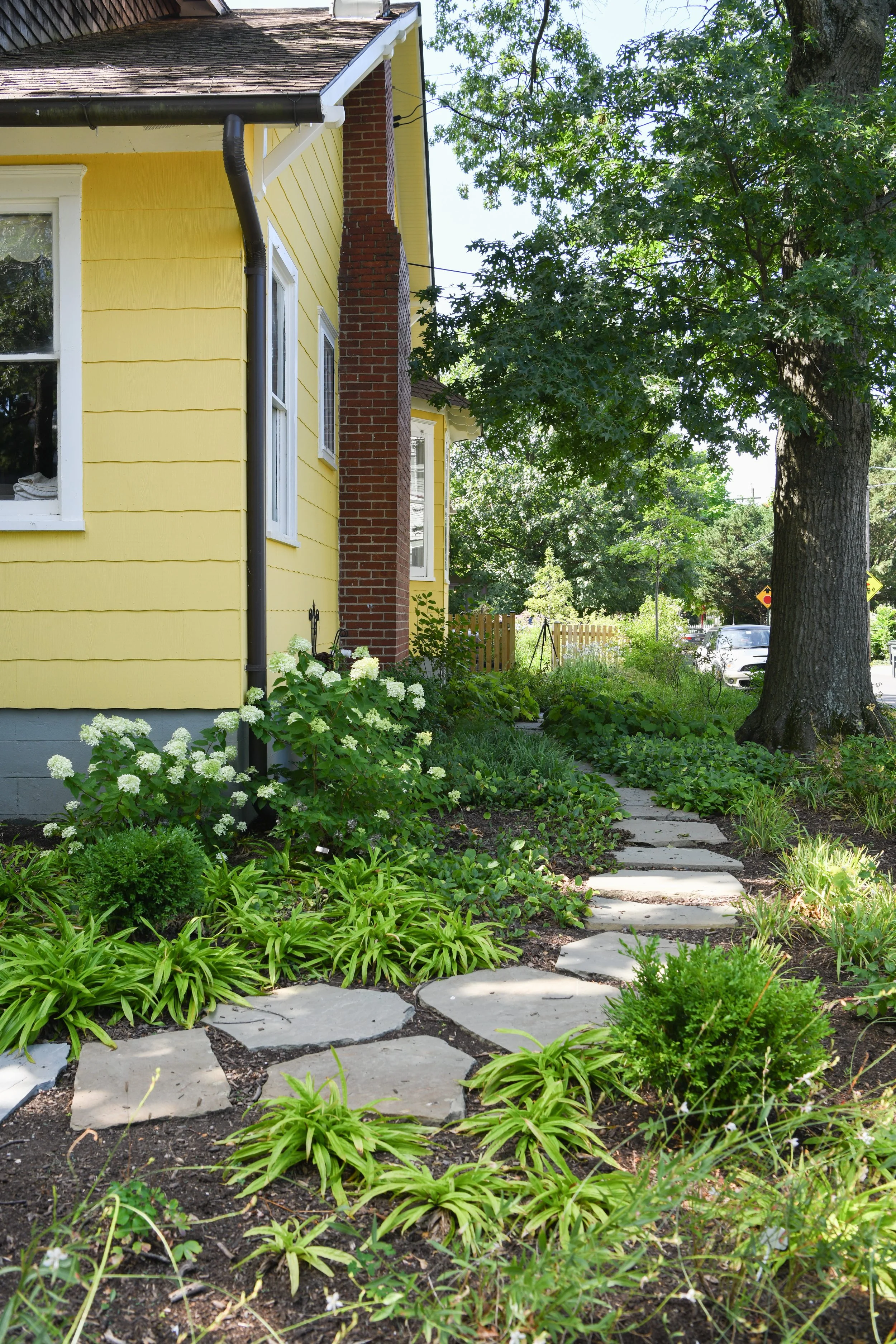 Harvey_Home_Front_Garden-2 (1).jpg
