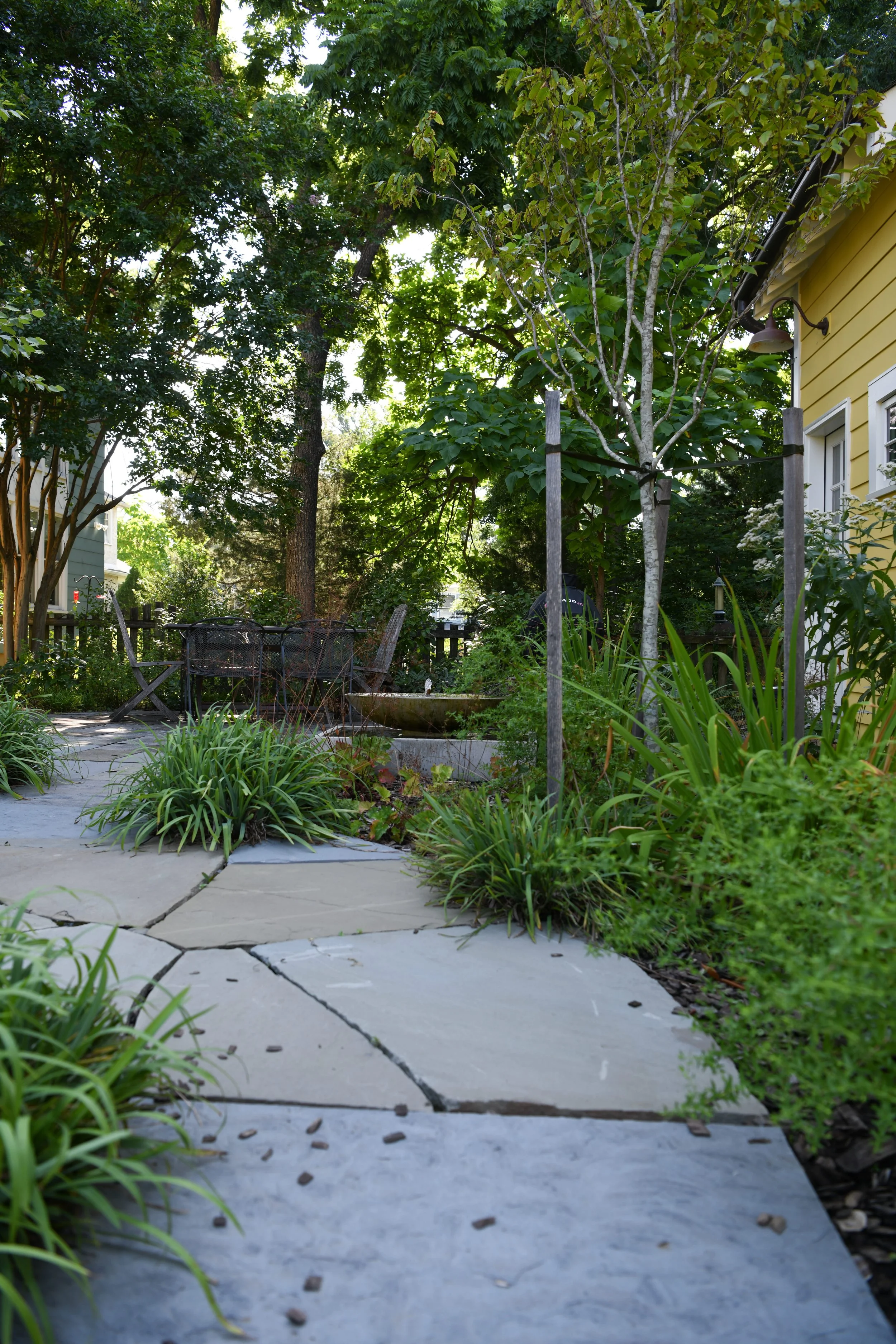 Harvey_Home_back_Garden-8 (1).jpg