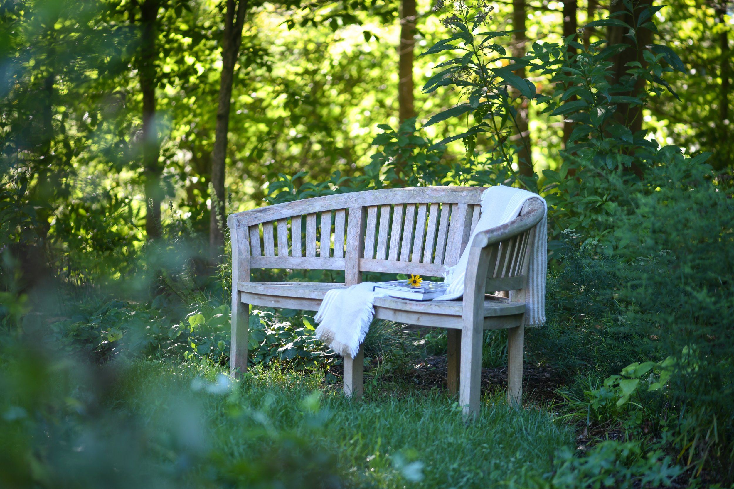 turkey_run_front_garden-6.jpg