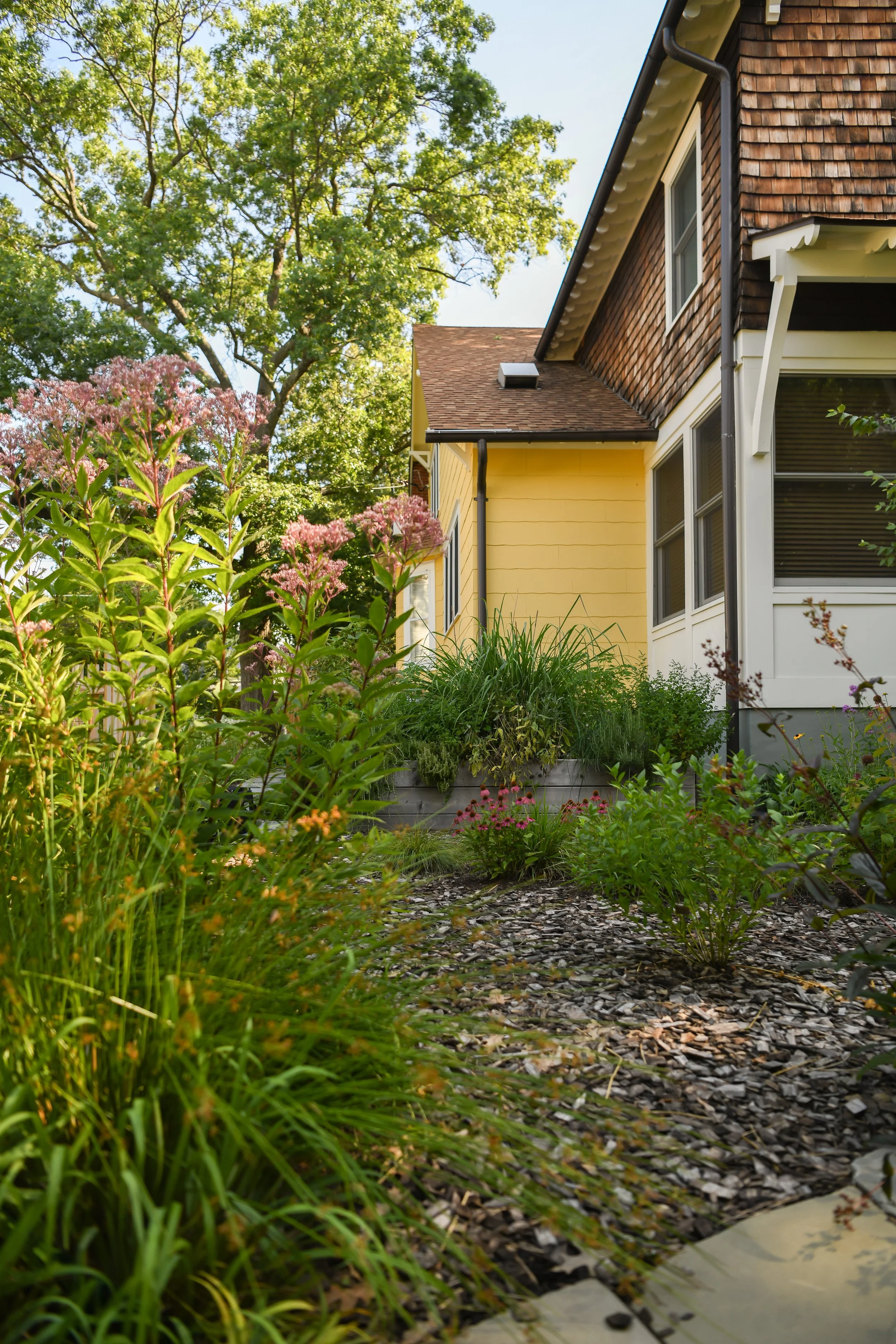 Harvey_Home_back_Garden-7 (1).jpg