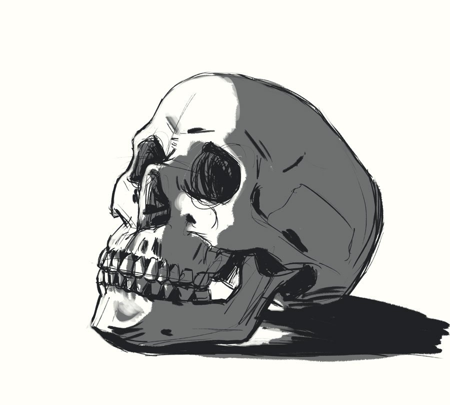 Skull Study