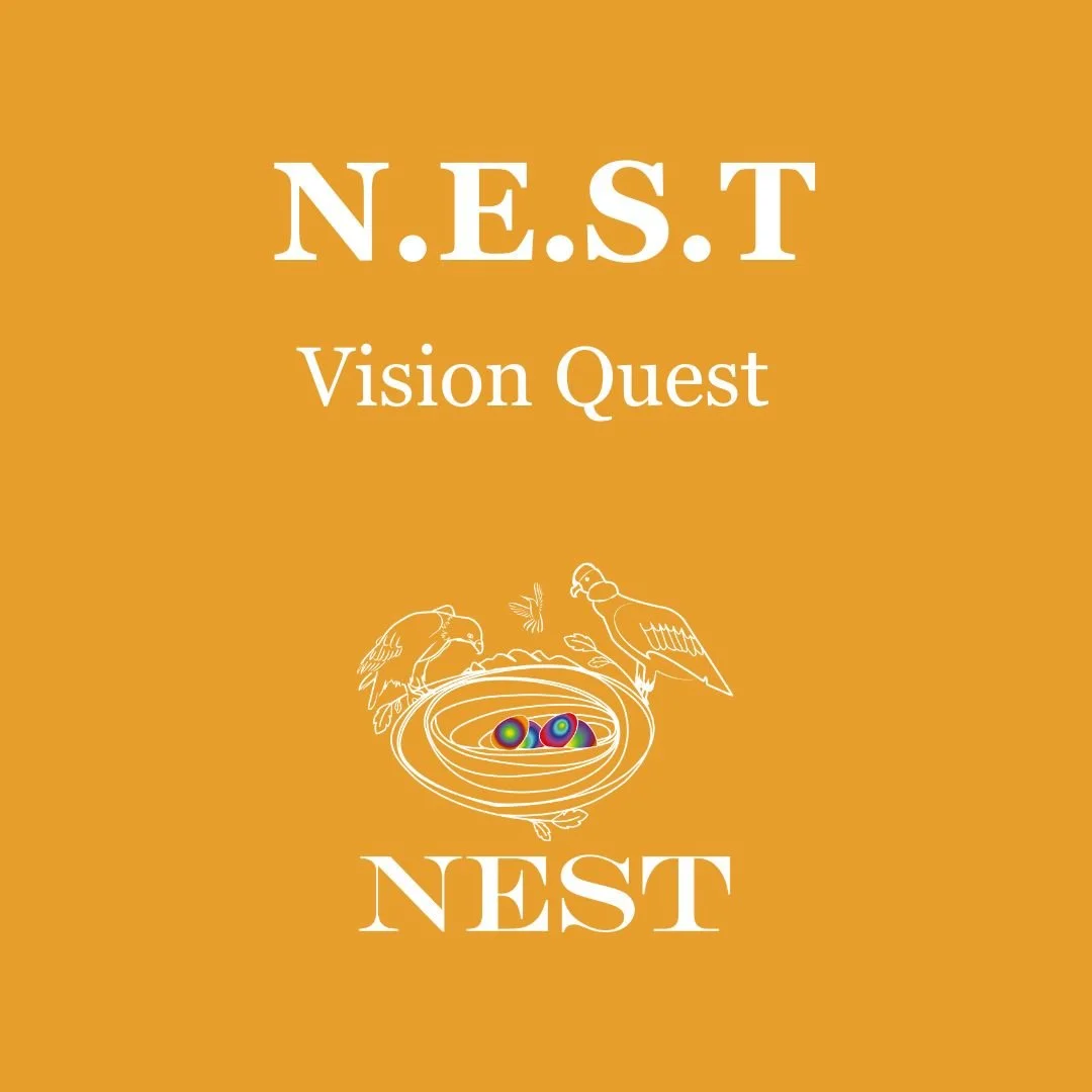 N.E.S.T. Vision Quest