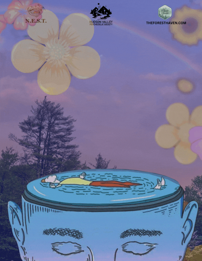 Hudson Valley Psychedelics Society at the Forest Haven