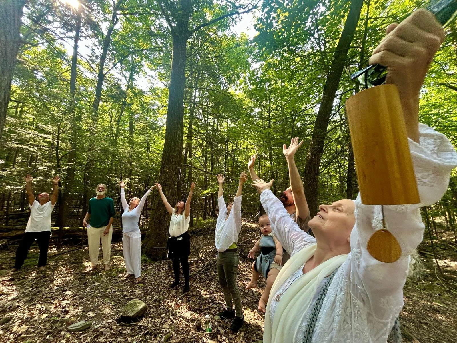 WhatsApp Image 2024-06-24 at 12.08.25.jpeg