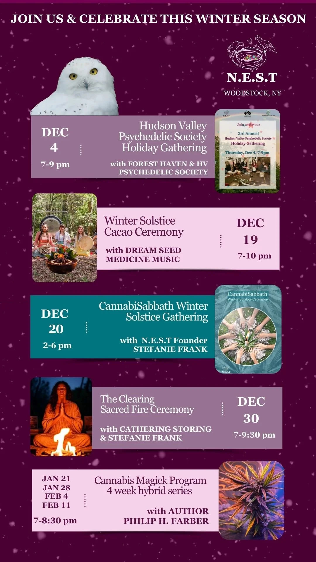 Look What´s New this Winter Season at the N.E.S.T.