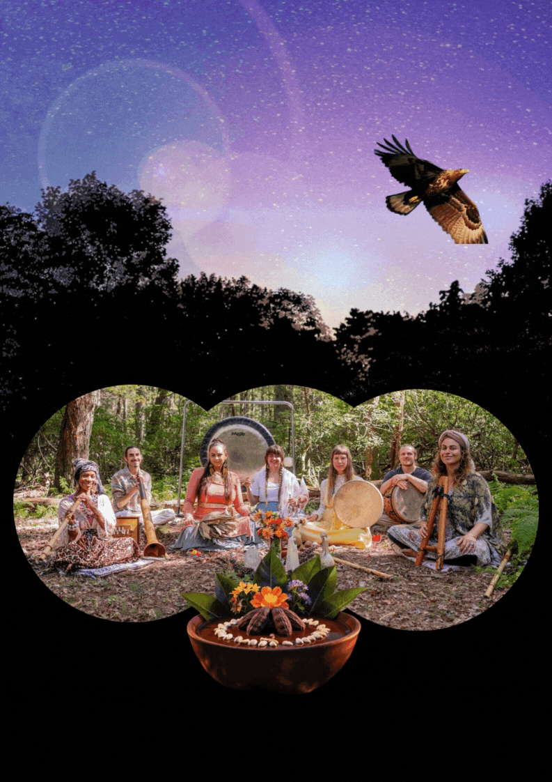 Winter Solstice Weekend at the N.E.S.T.