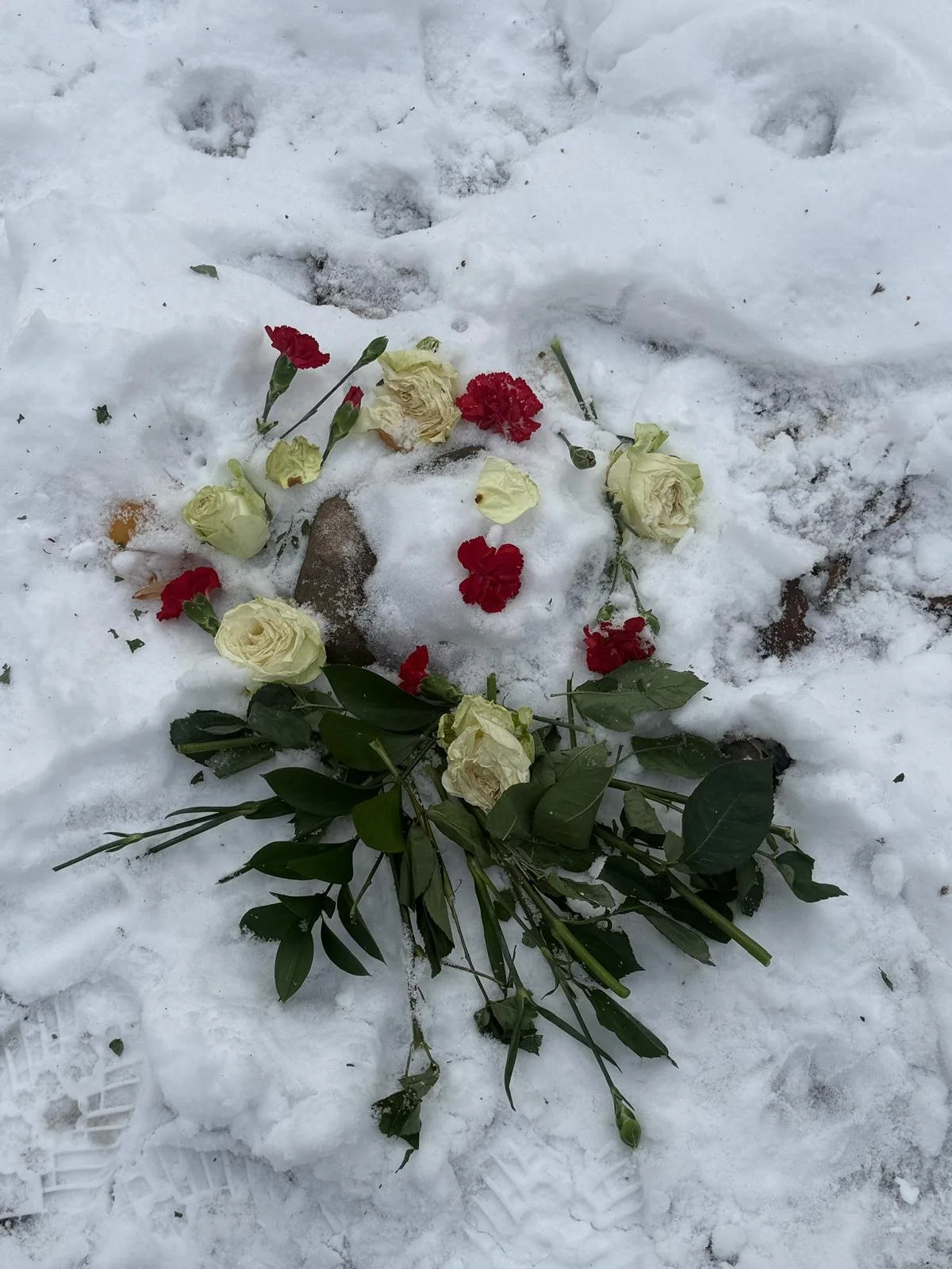 Gliding gently into 2026 with wings wide open