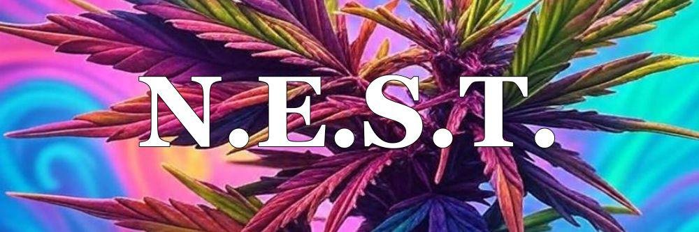 WhatsApp Image 2026-03-03 at 14.44.47.jpeg